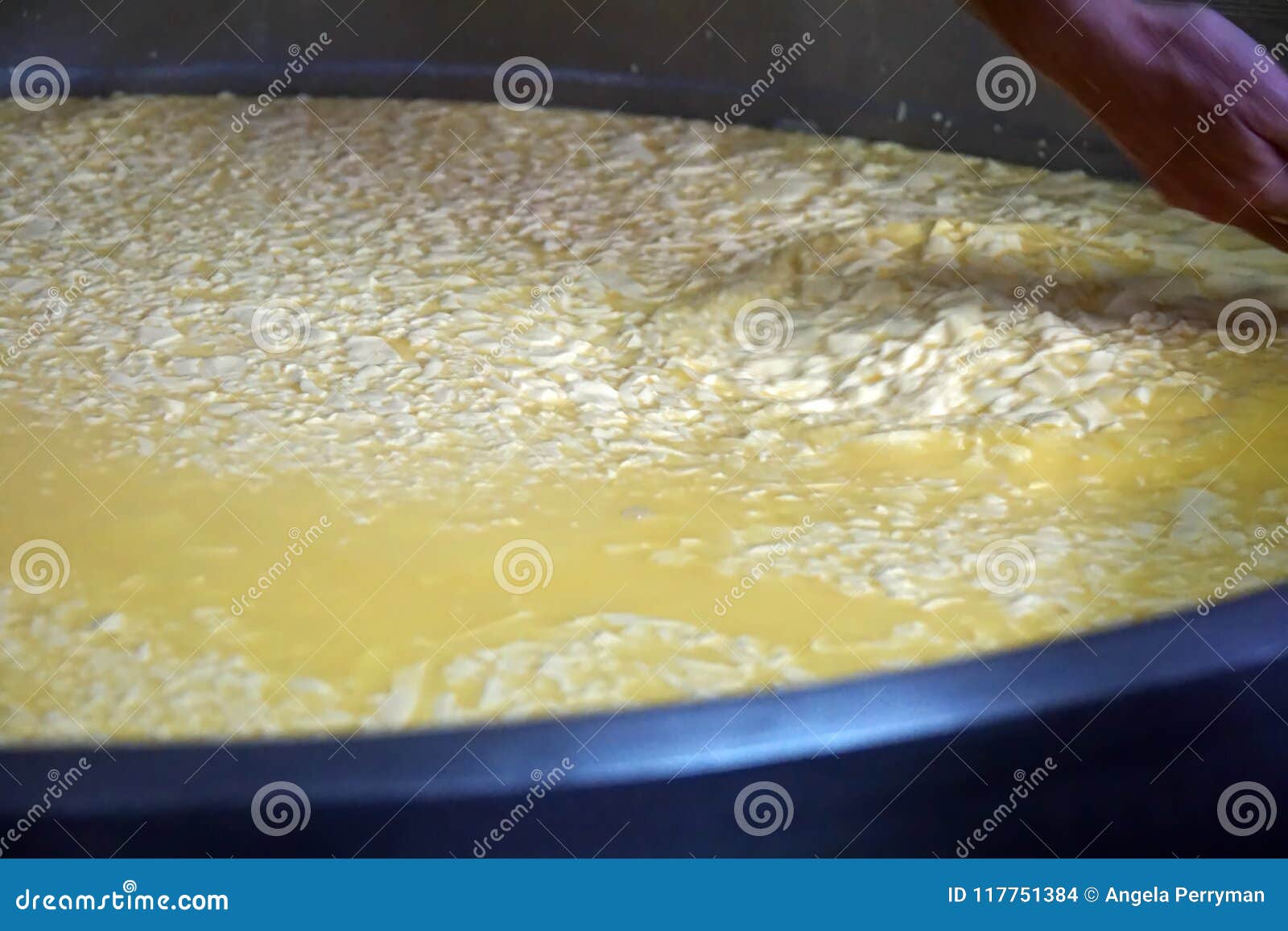 Vat Of Cheese Curds And Whey Stock Photo Image Of South Ecuador