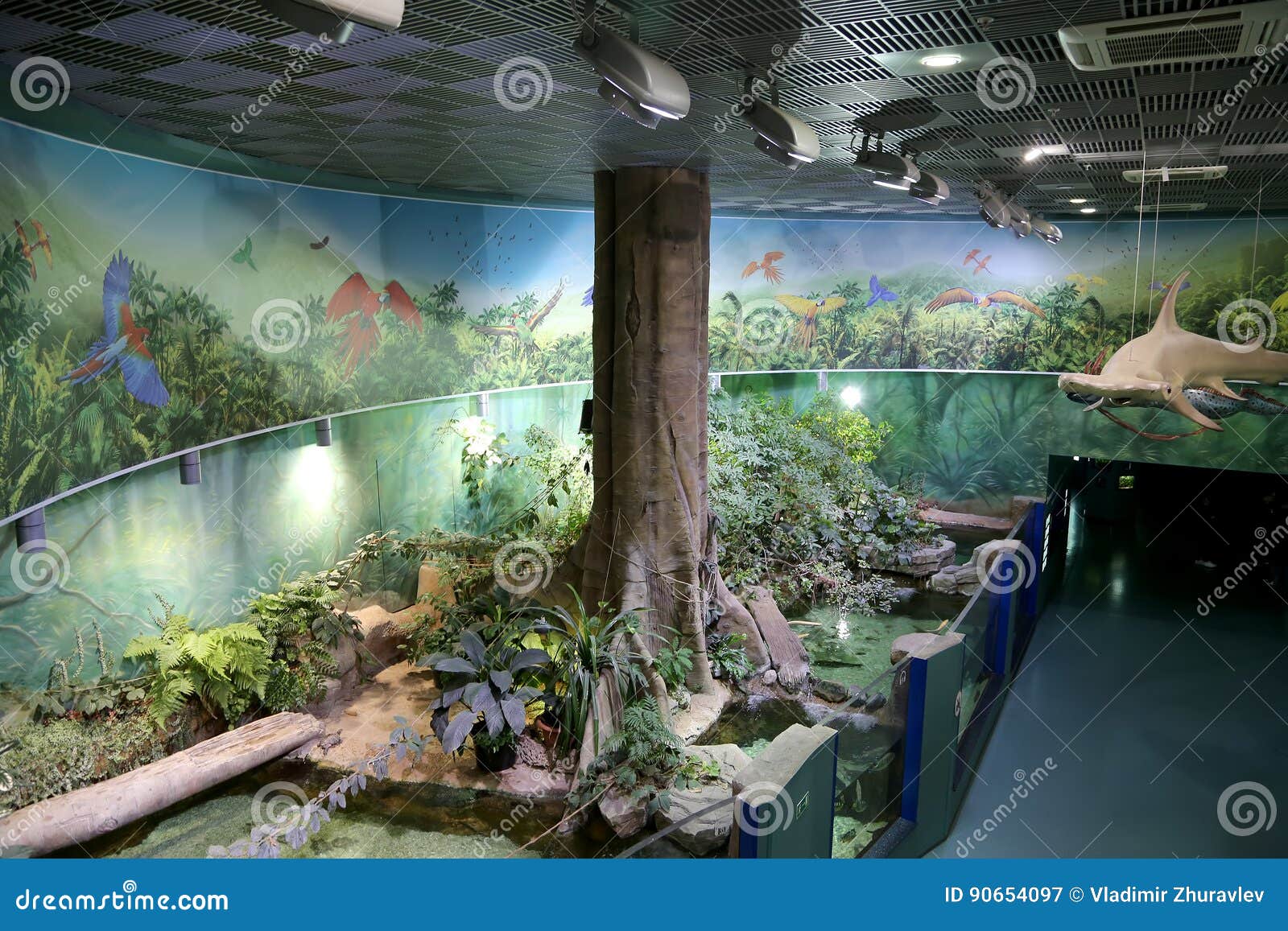 VDNKh Moskvarium - Il Più Grande Nel Centro Dell'acquario E Di Spettacolo  Del Mare Di Europa, Mosca, Russia Fotografia Editoriale - Immagine di mare,  subacqueo: 90654097