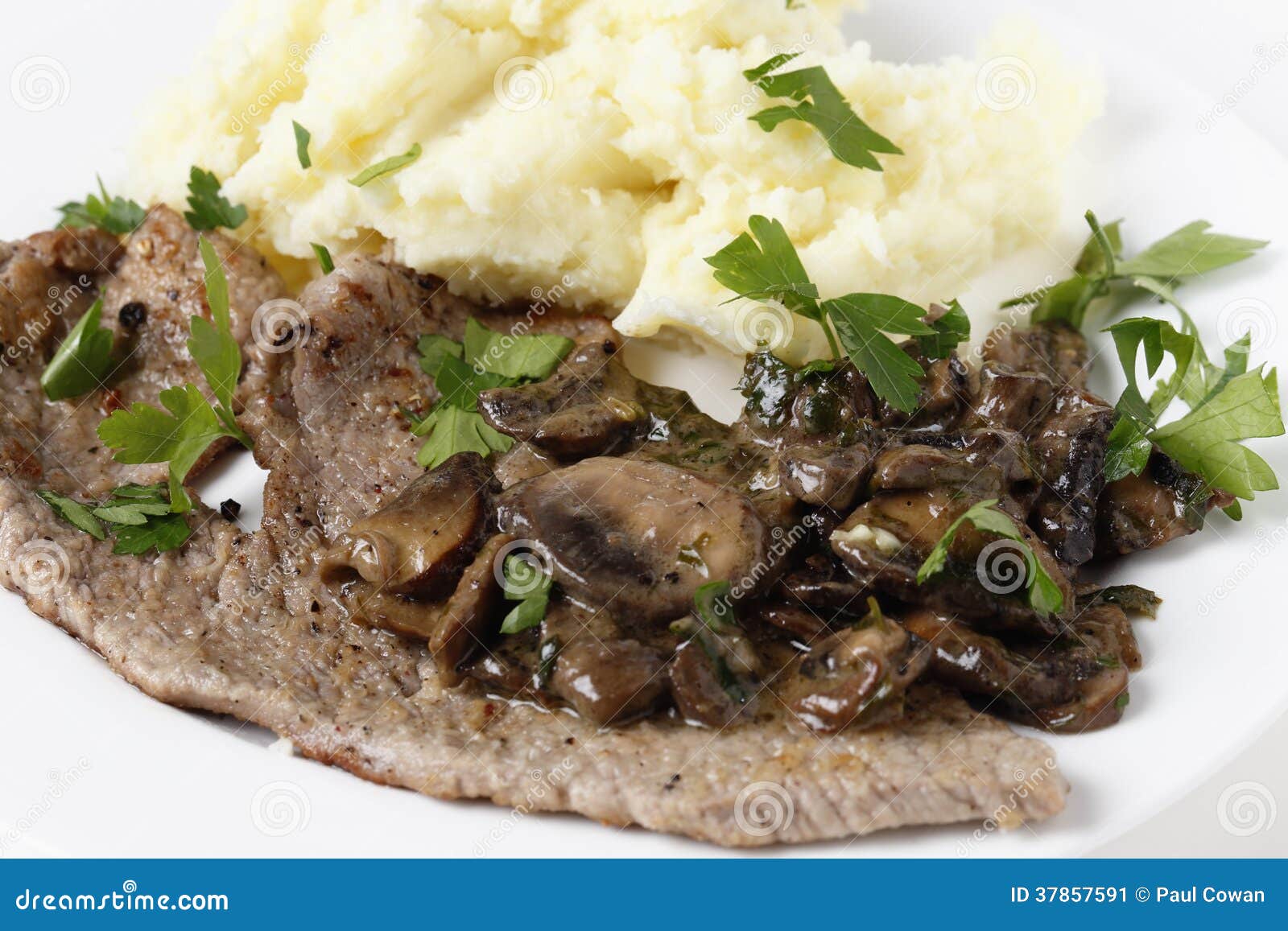 Veal and mushrooms closeup stock image. Image of mushrooms 37857591