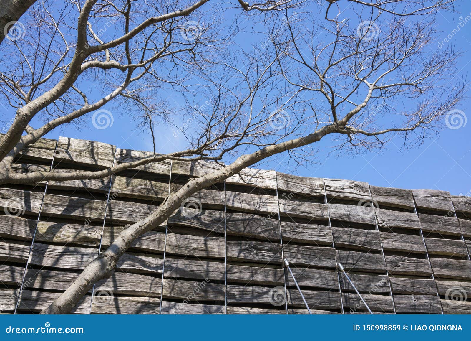 Vecchi albero e tronchi con il tetto di legno nei precedenti Chiaro cielo blu
