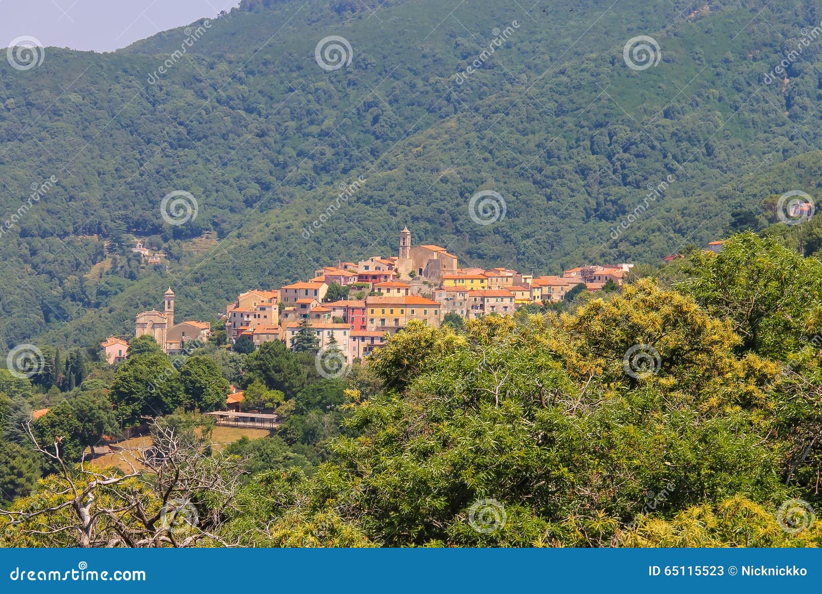 Vecchi Case E Campanili Sulla Collina Su Elba Island, Marciana Immagine ...