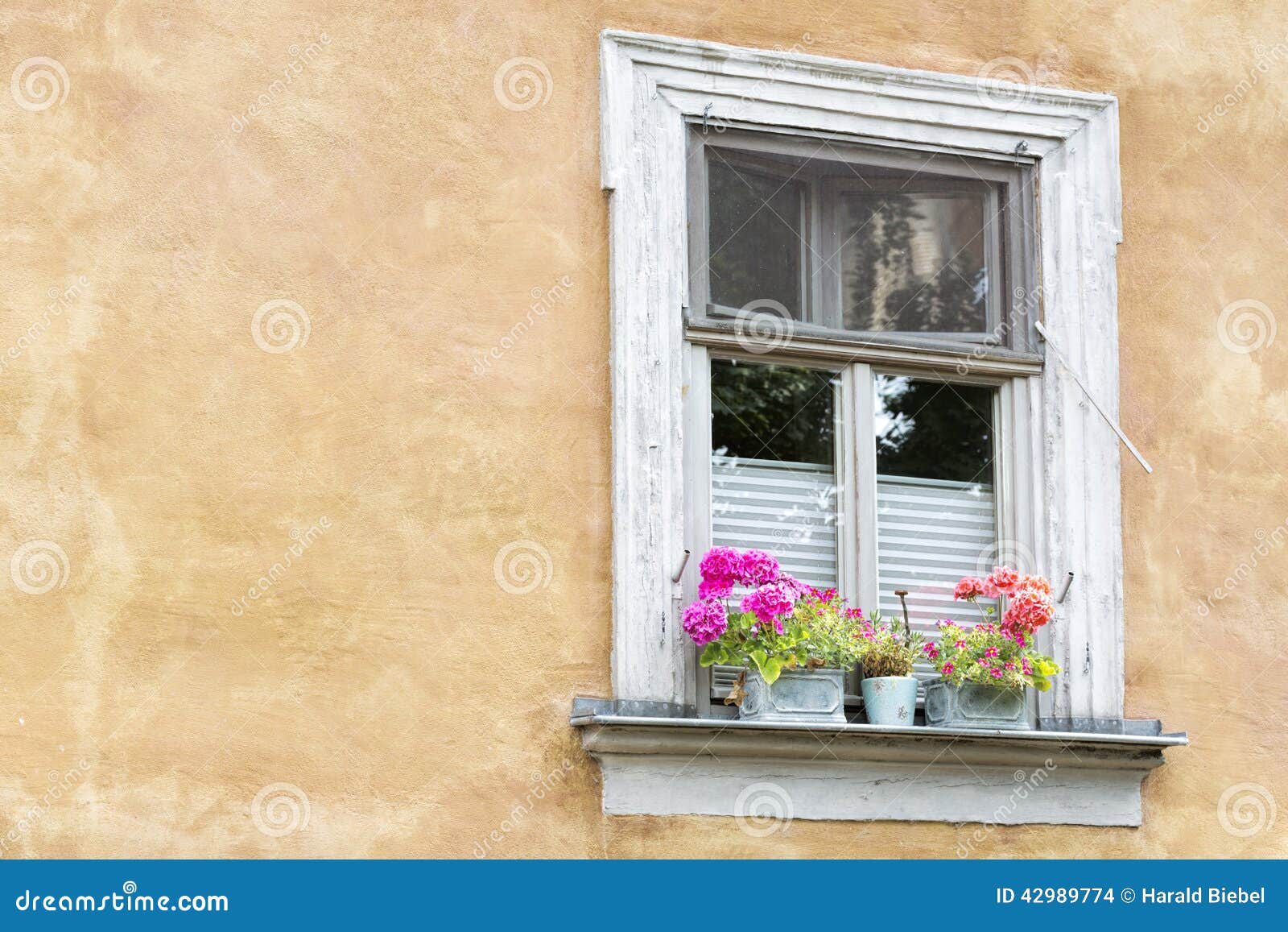 Arazzo Decorativo ABAKUHAUS - Vecchia Finestra Con Fiori, 150x110 Cm, Beige E Verde, Per Camera Da Letto E Soggiorno - Foto 10