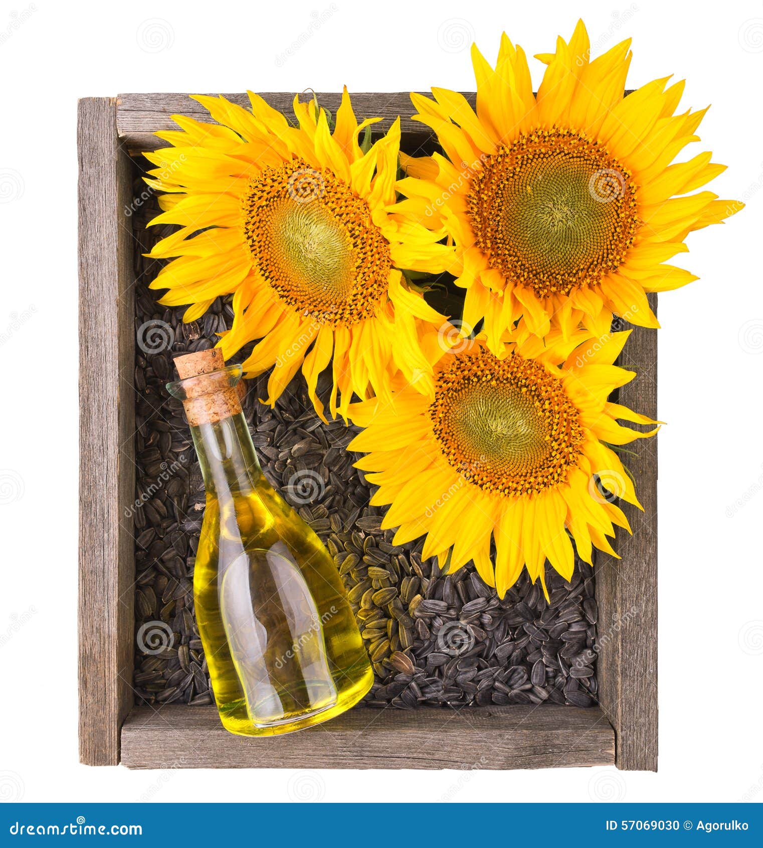 Vecchia scatola di legno ruvida con i girasoli, bottiglia di olio. Vecchia scatola di legno ruvida con i girasoli, la bottiglia di olio ed i semi isolati su fondo bianco