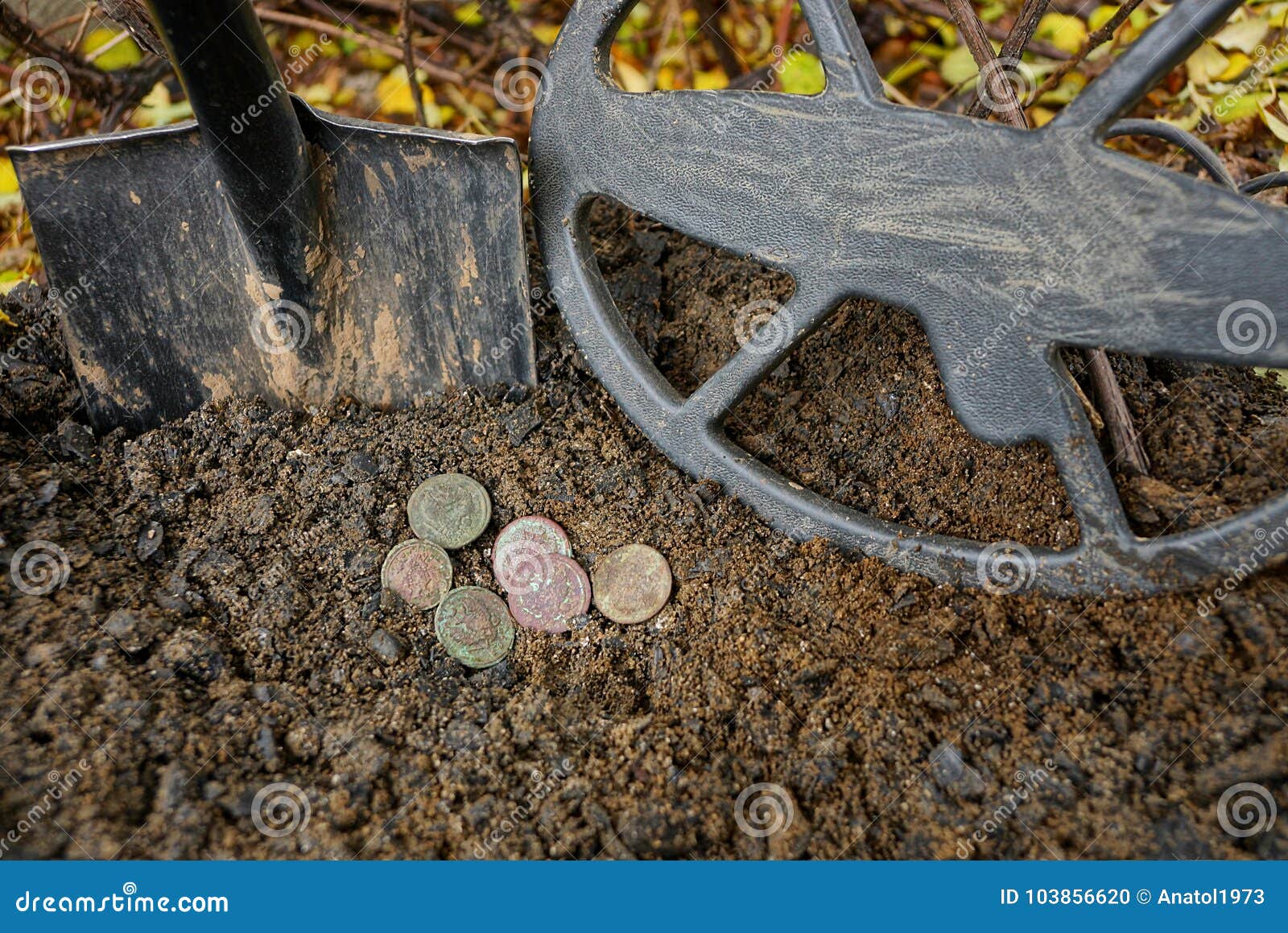 Vecchie Monete Di Rame Sulla Terra Con Una Bobina Del Metal Detector E Una  Pala Fotografia Stock - Immagine di inventario, passatempo: 103856620