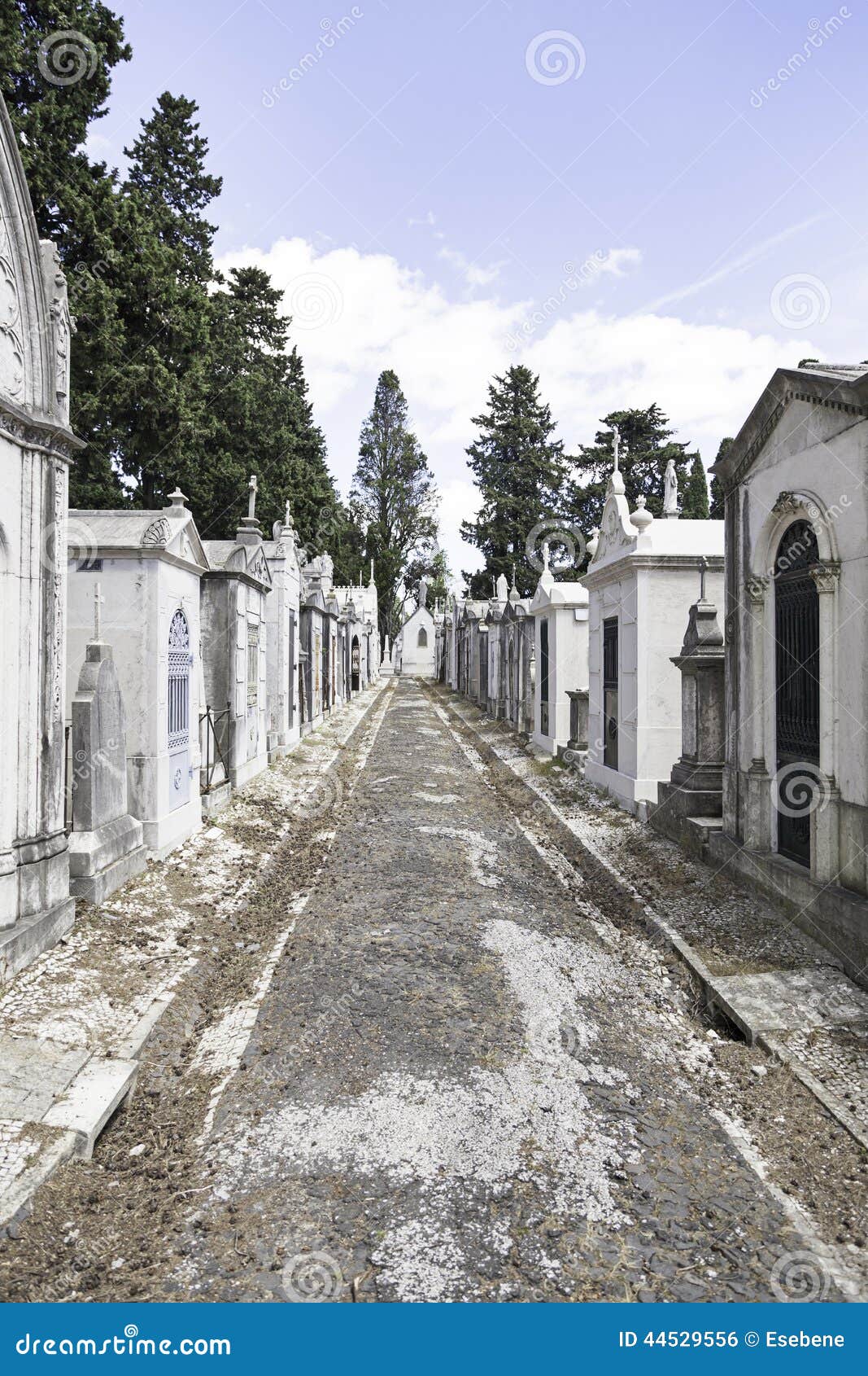 Vecchio cimitero nella città di Lisbona, dettaglio dell'tombe cristiane, arte antica nella città, luogo santo