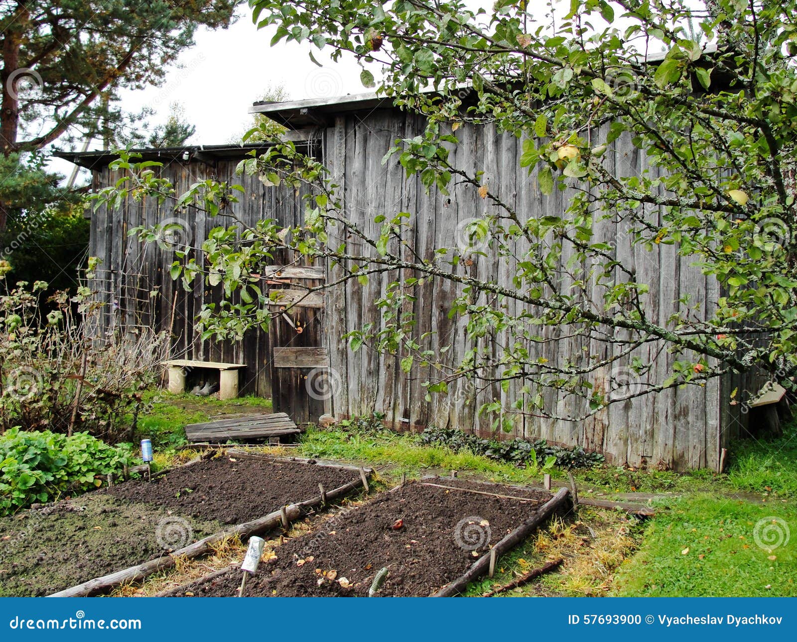 Stivali Le Chameau Country Cross Jersey |Armeria Dradi - Foto 10