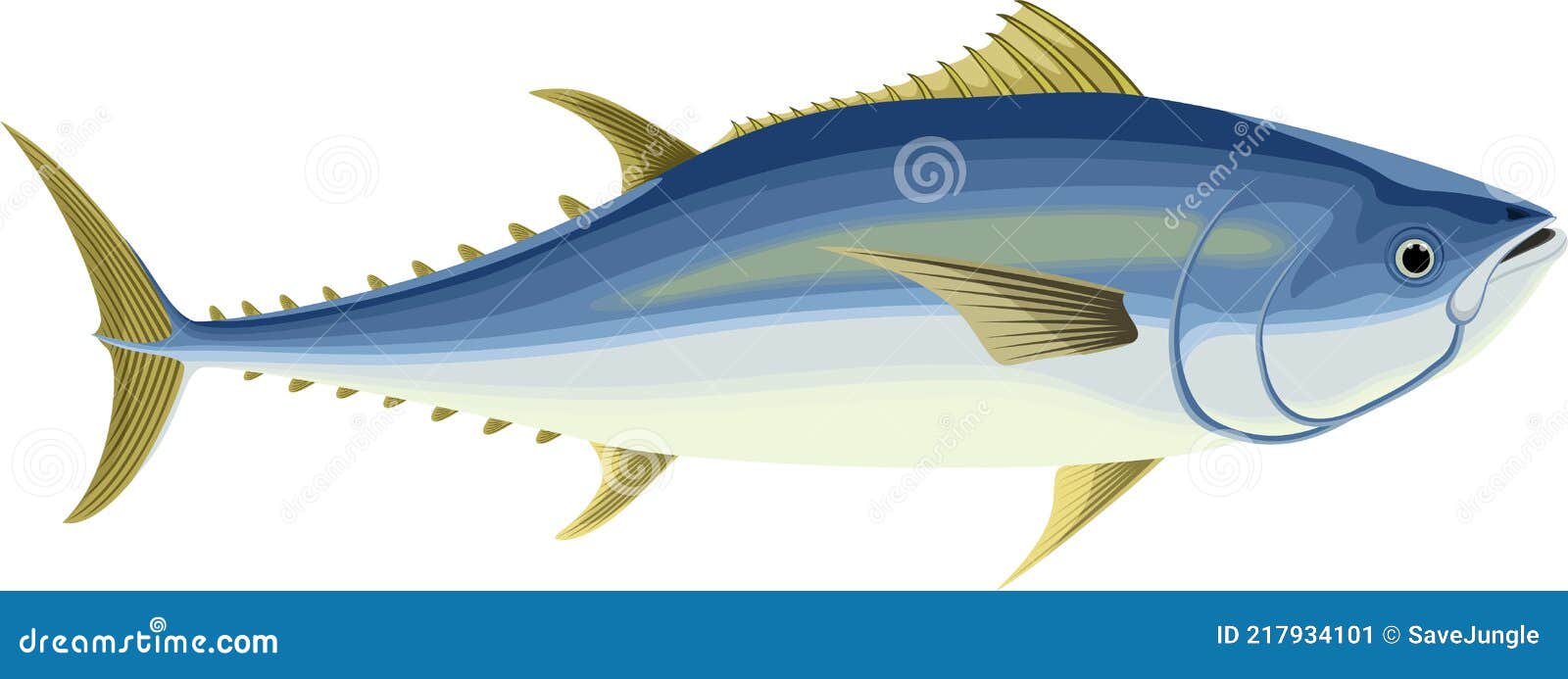 Bluefintuna Cartoon Vector 29701069