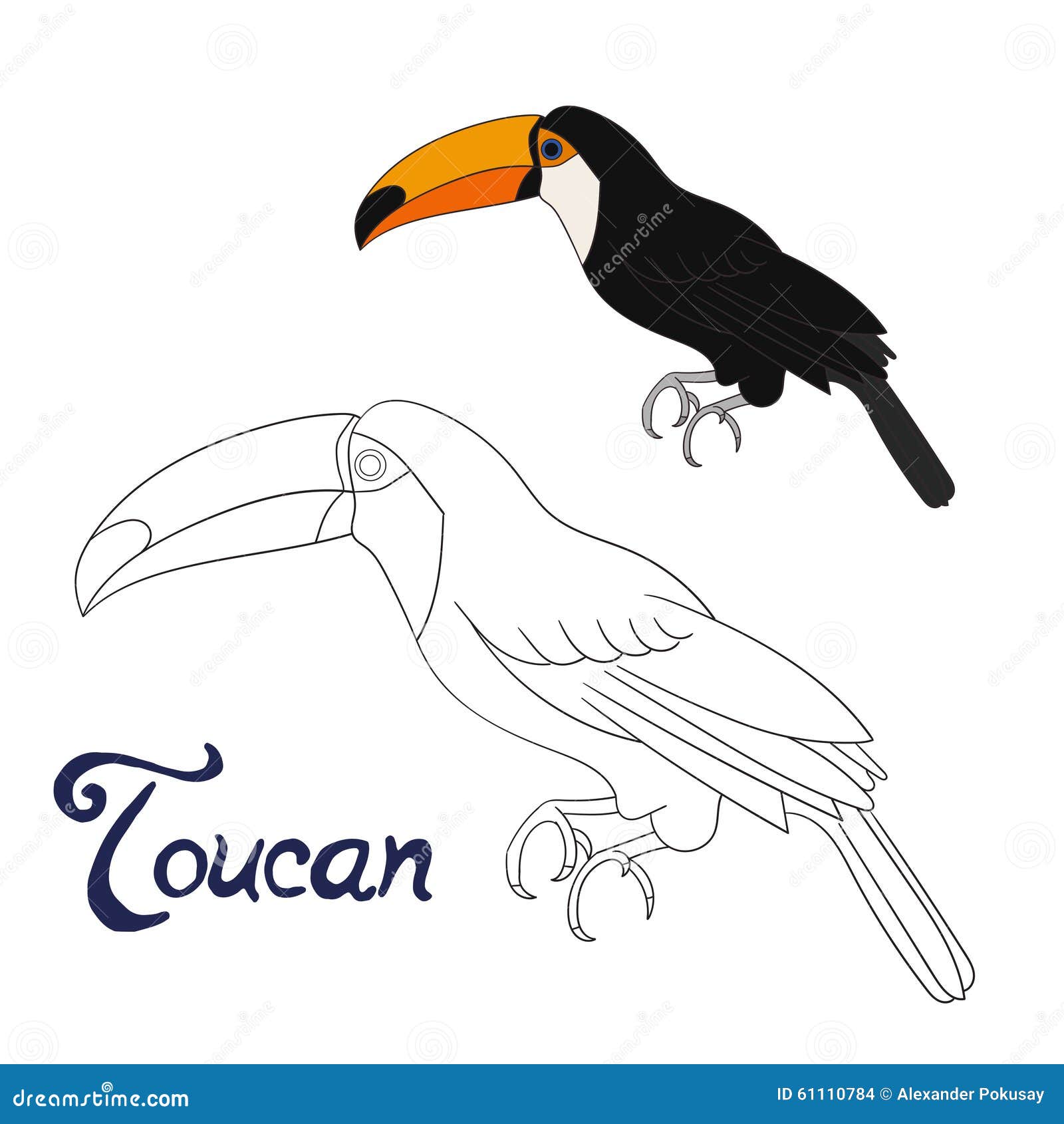 Imprimer Gratuits Vecteur Ducatif D Oiseau De Toucan De Livre De Coloriage De Jeu