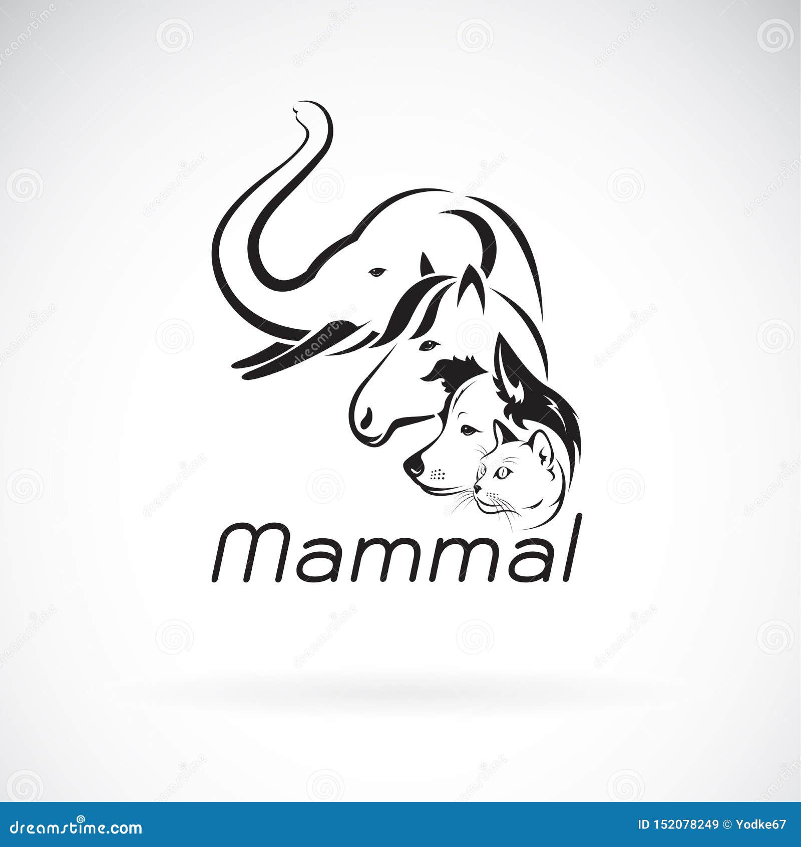 Vecteur De Conception Mammifere De Groupe Sur Le Fond Blanc Elephant Cheval Chien Chat Animaux Pet Logo Ou Icone Mammifere A Illustration De Vecteur Illustration Du Colley Canin