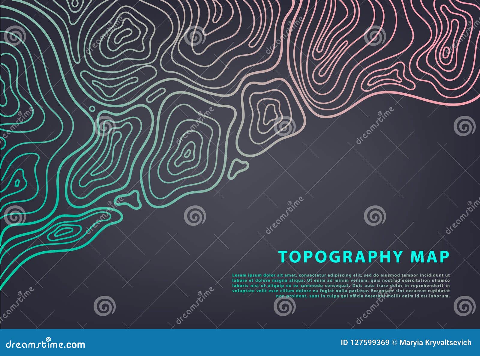  abstract topography map banner. topographic contour background. topo grid.