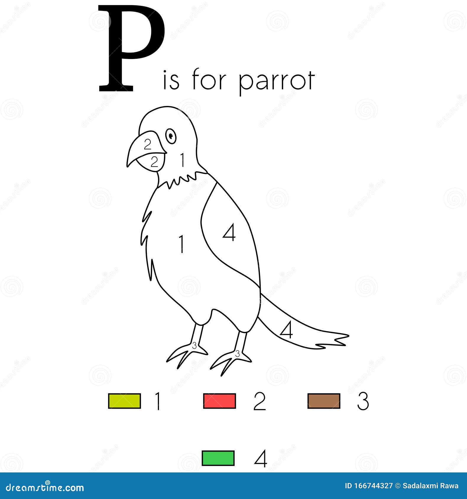 Parrot. Vector Alphabet Letter P, Colouring Page Stock Image