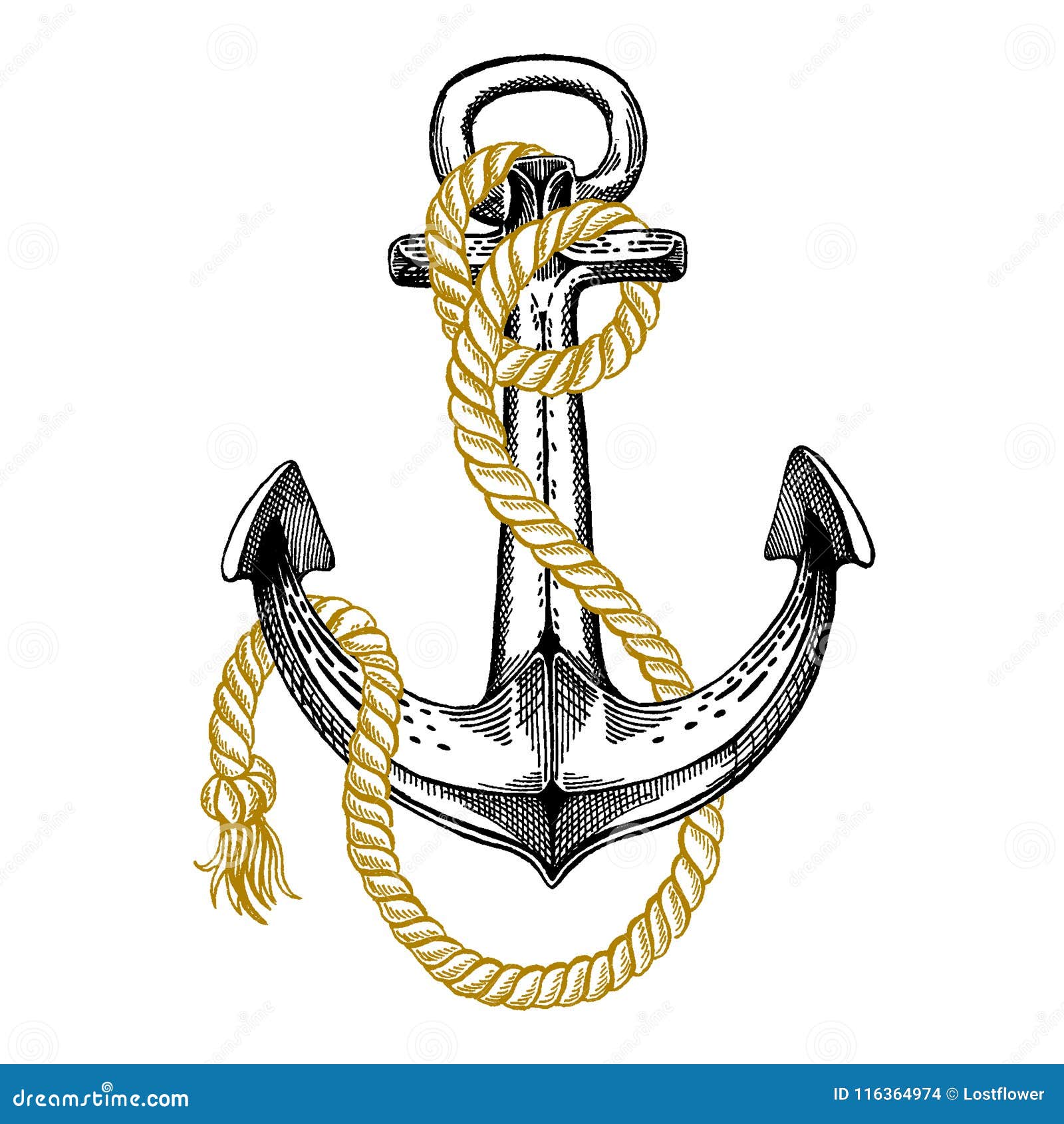 Vector Anchor. Sea, Ocean, Sailor Sign. Hand Drawn Vintage Illustration ...