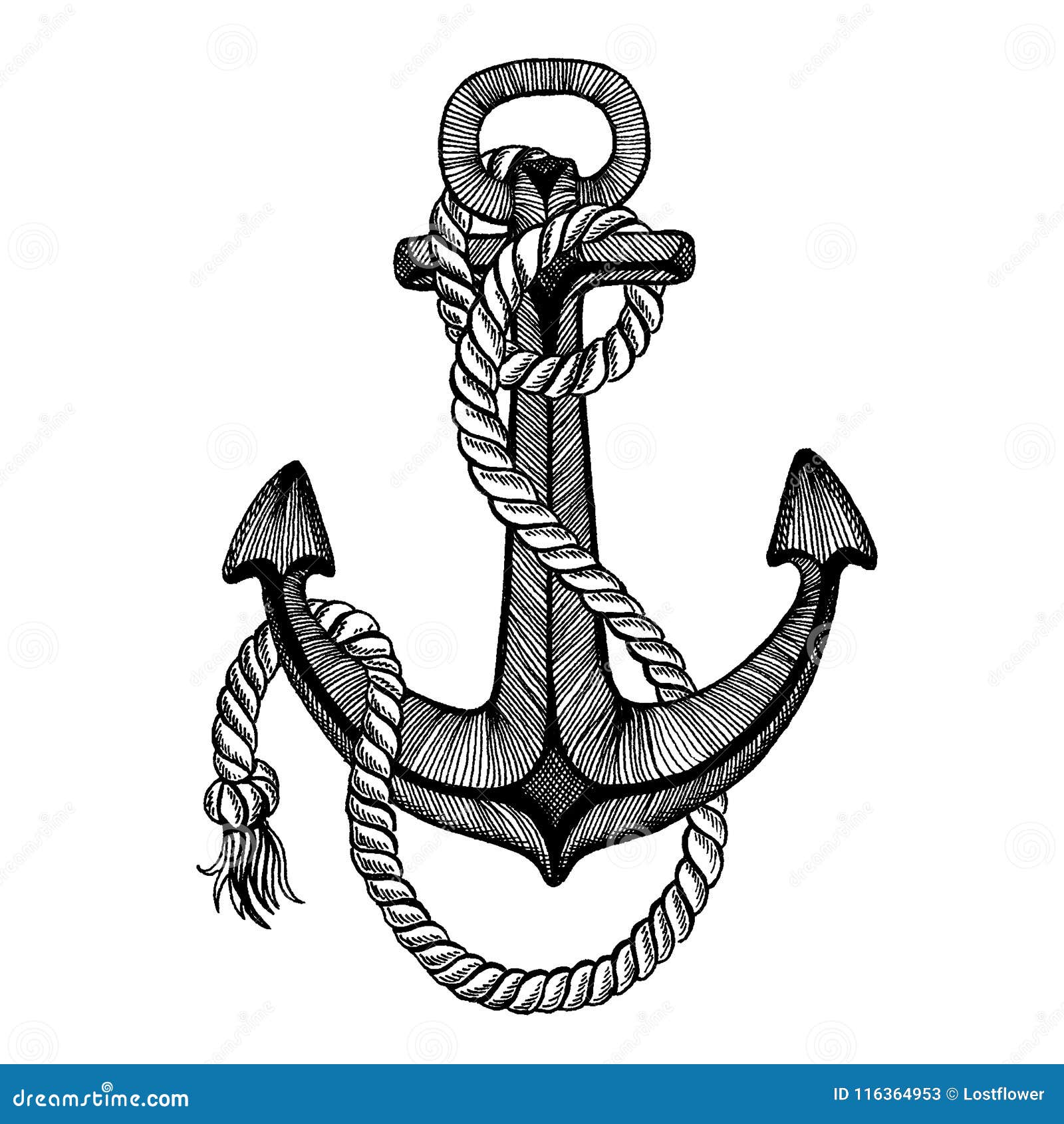 Vector Anchor. Sea, Ocean, Sailor Sign. Hand Drawn Vintage Illustration ...