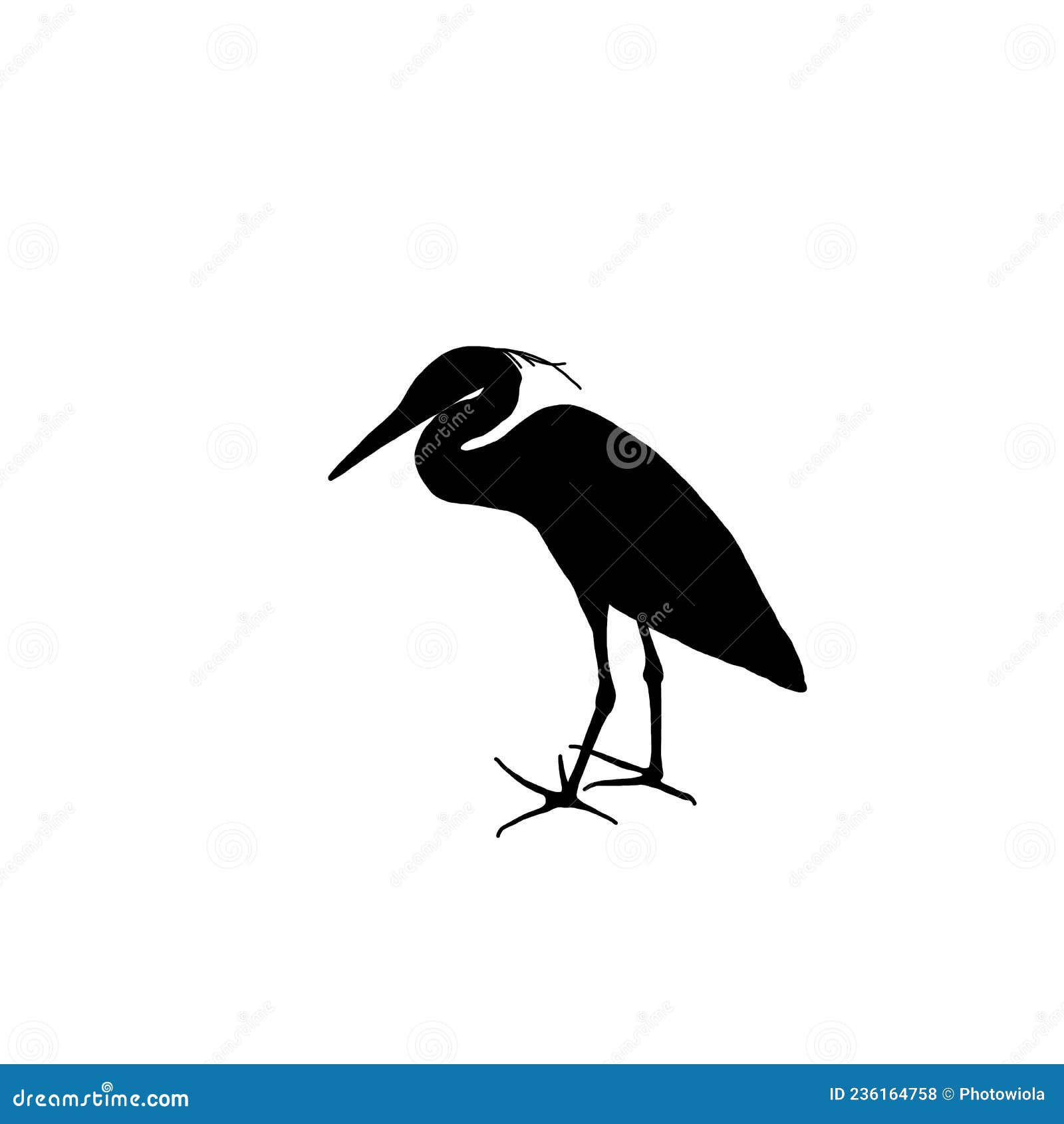 Black Silhouette of a Heron on a White Background. Stock Vector ...