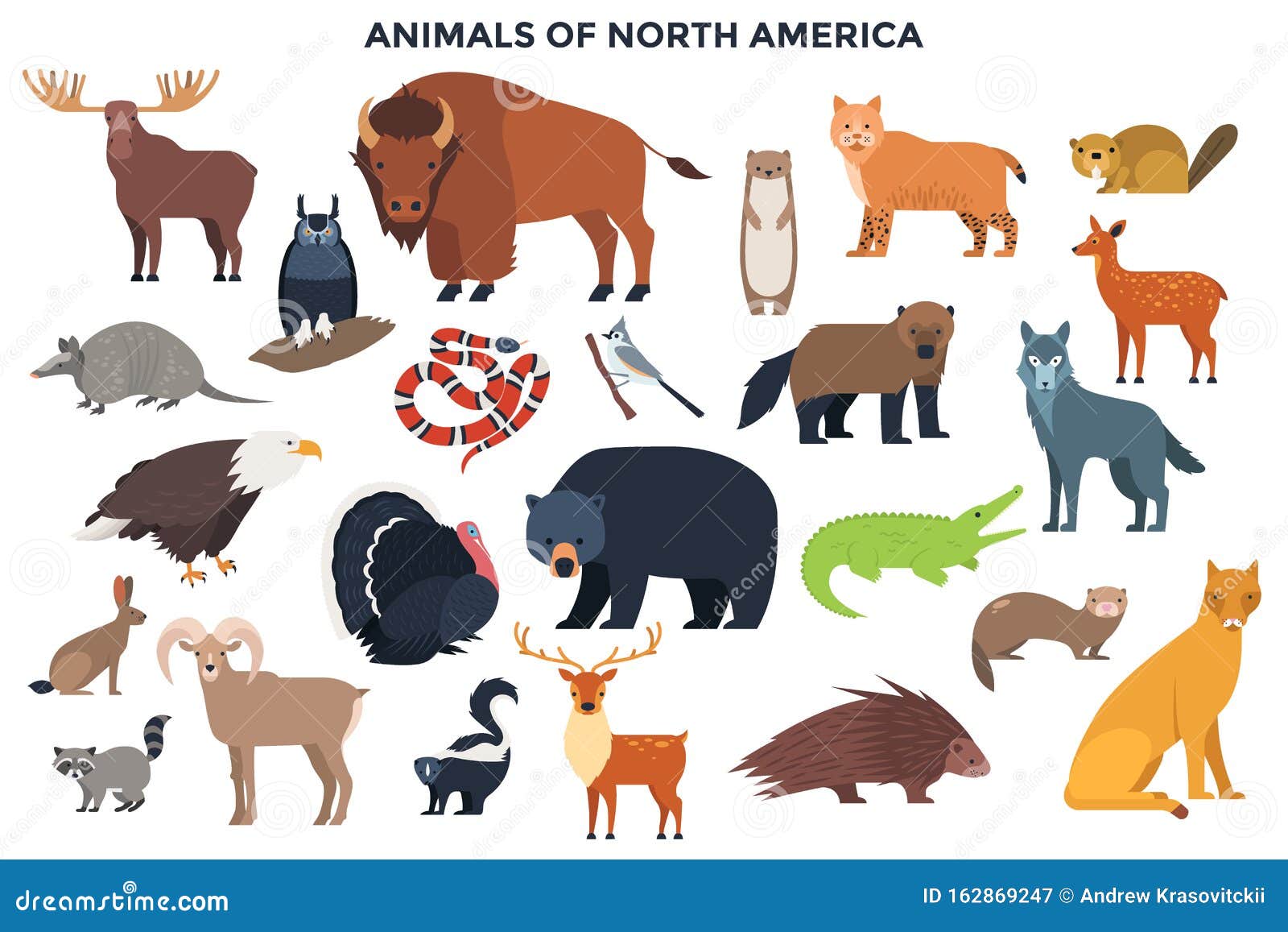 Vector Animals of North America Stock Vector - Illustration of funny, collection: 162869247 Vector Animals of North America Stock Vector - Illustration of funny, collection: 162869247