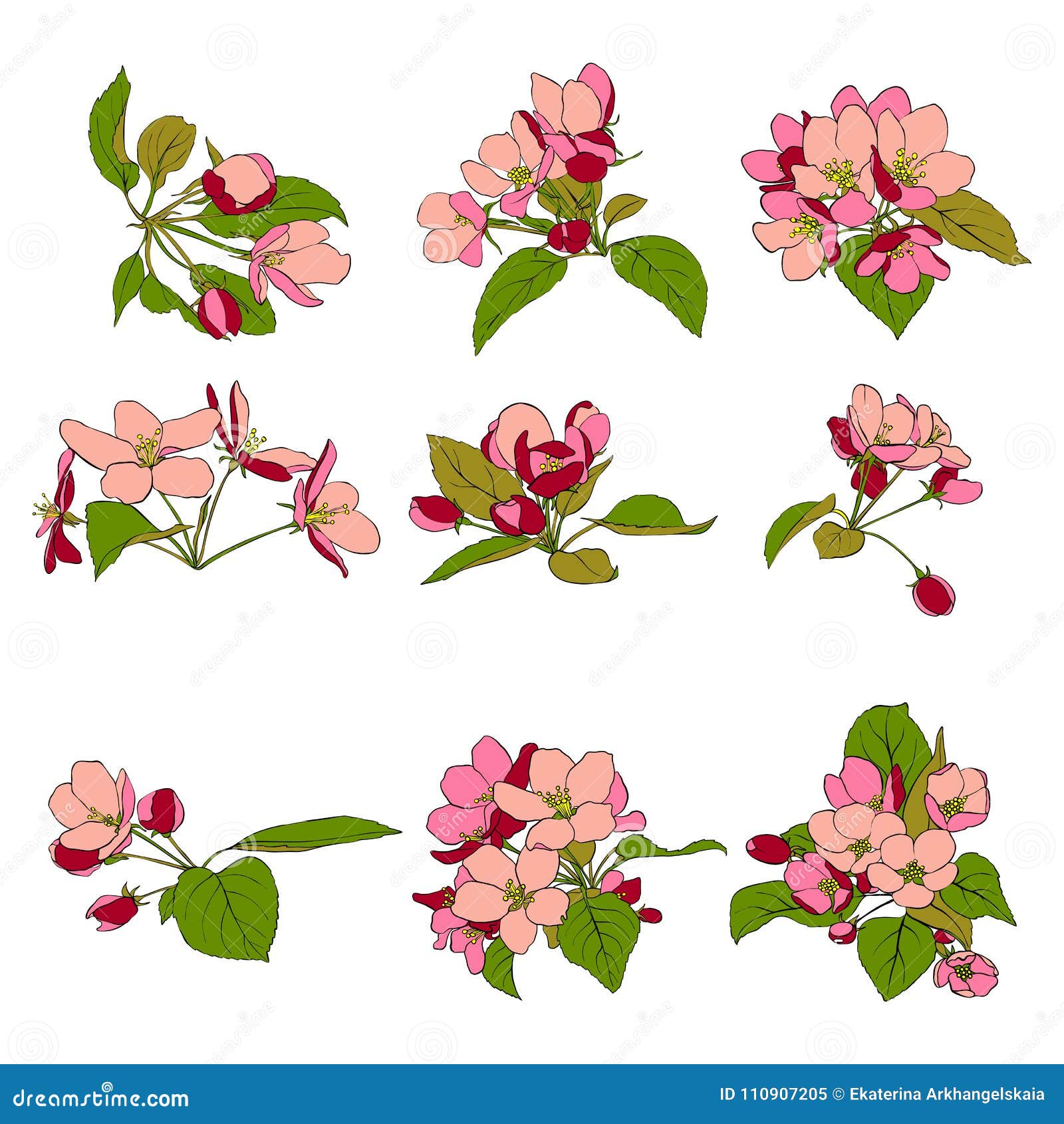 Vector apple blossoms stock vector. Illustration of line 110907205