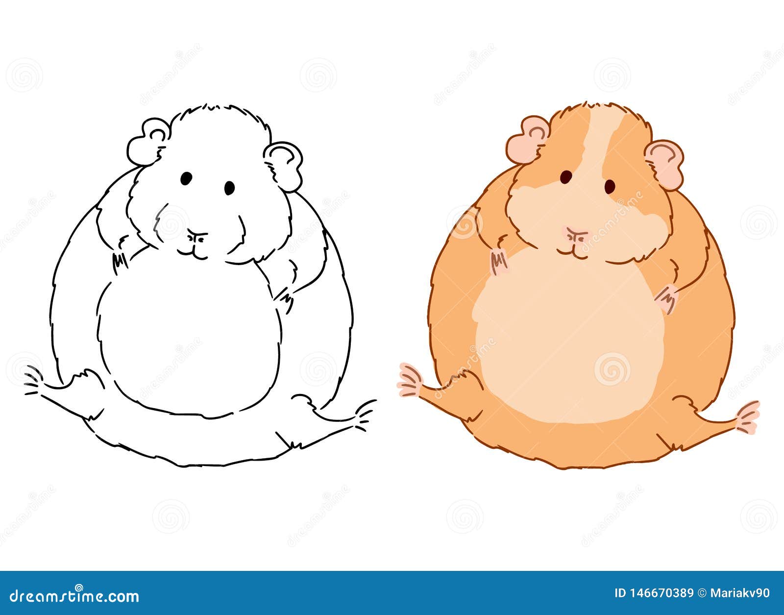 Fat guinea pigs