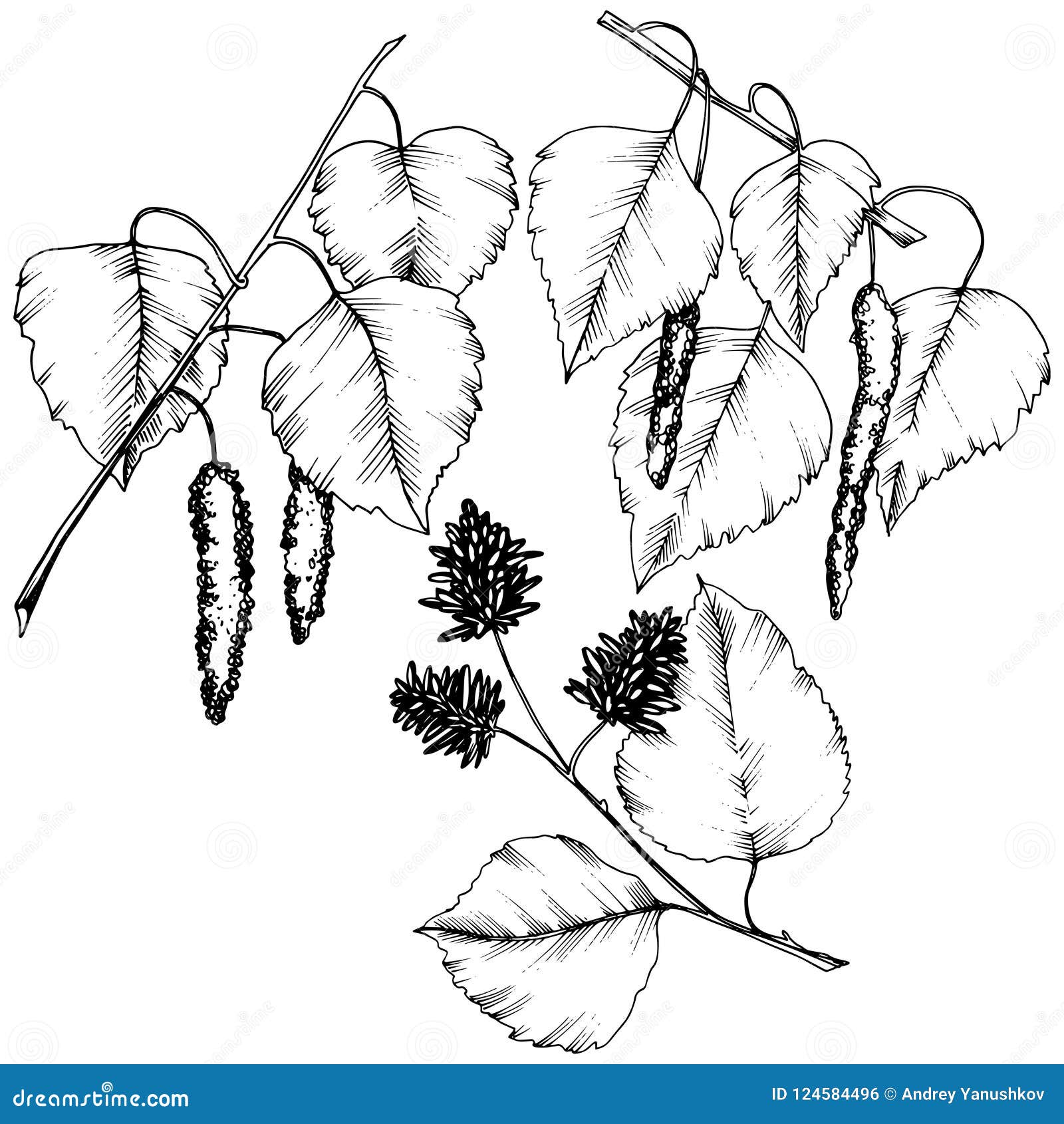 Foliage Drawing Images - remindringtoneurbt