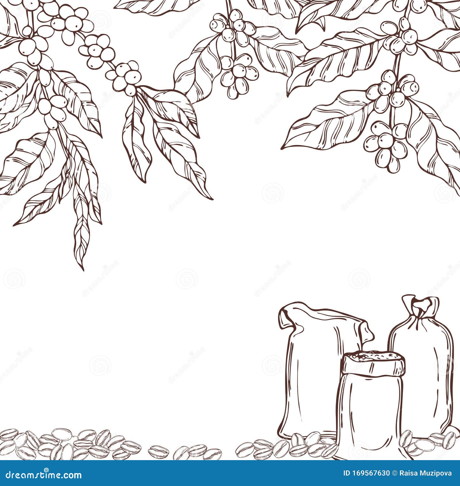 Vector Background With Coffee Plants And Beans. Stock ...