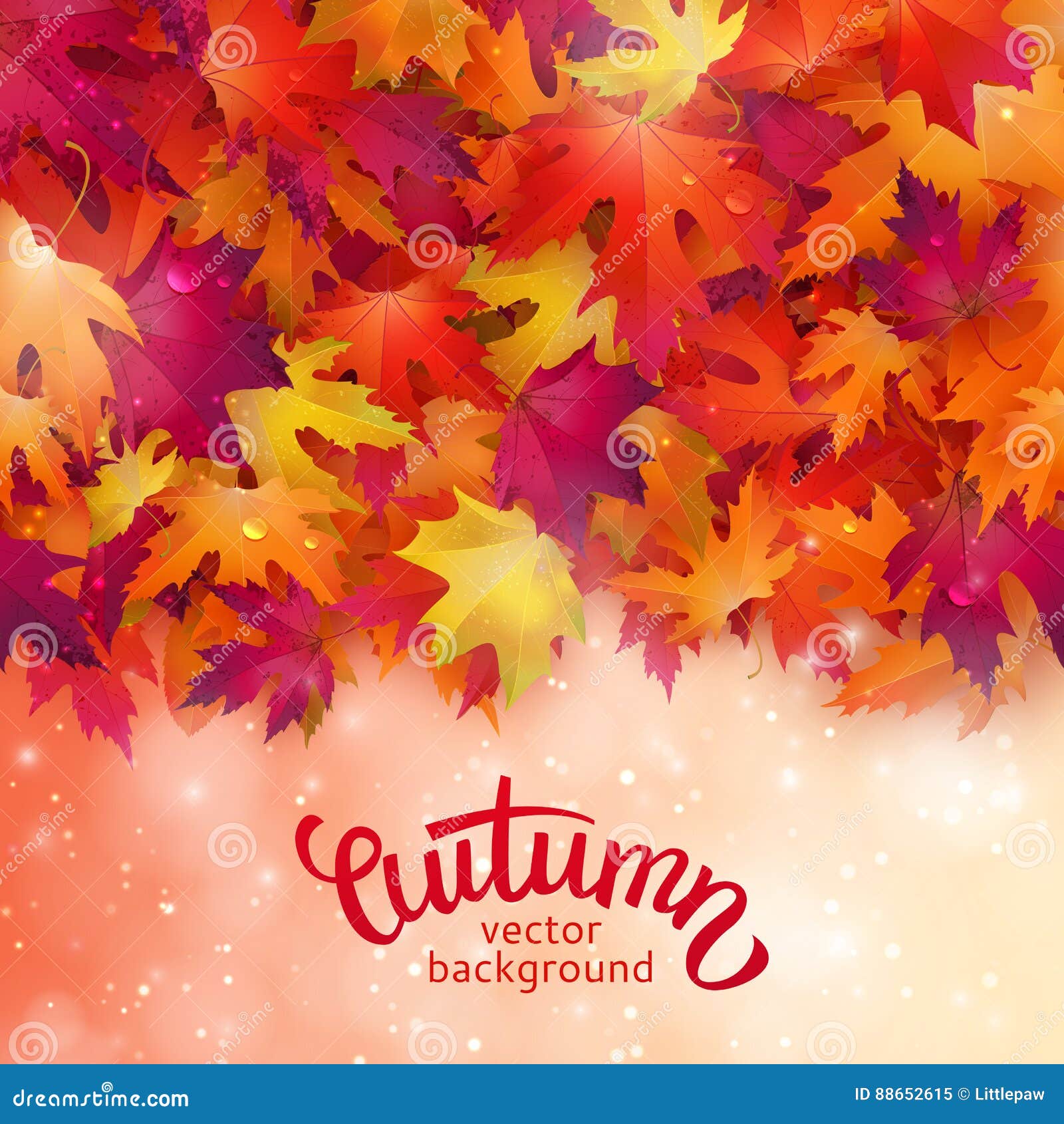  background with colorful autumn leaves, card template, na