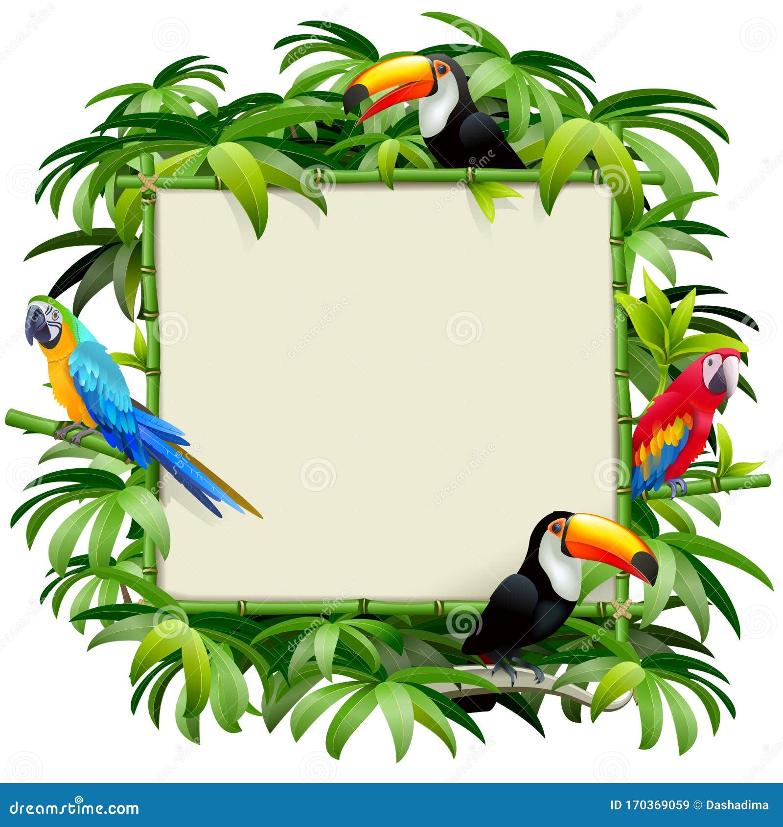  bamboo frame with tropics birds