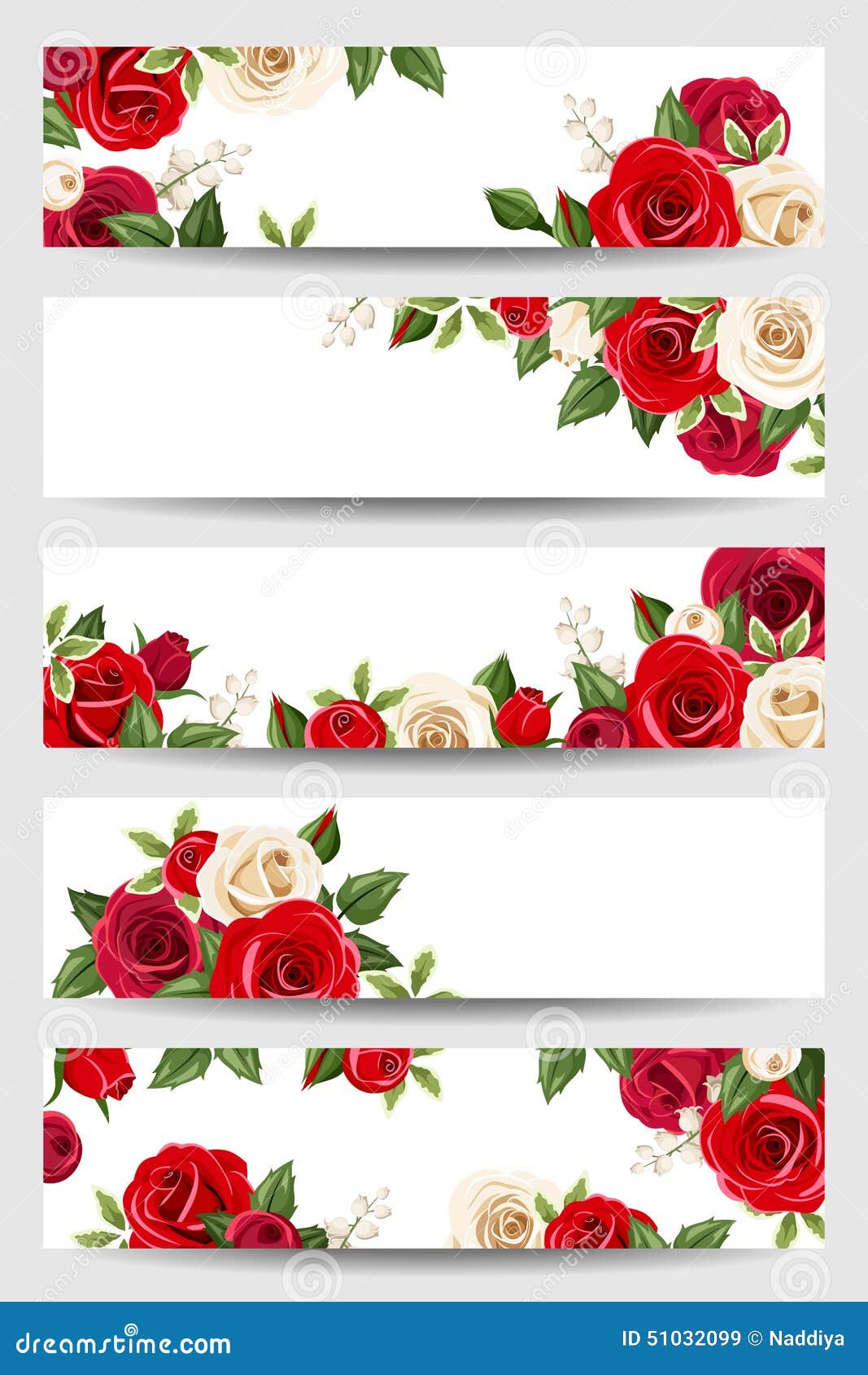 Vector Banners with Red and White Roses. Stock Vector Illustration of