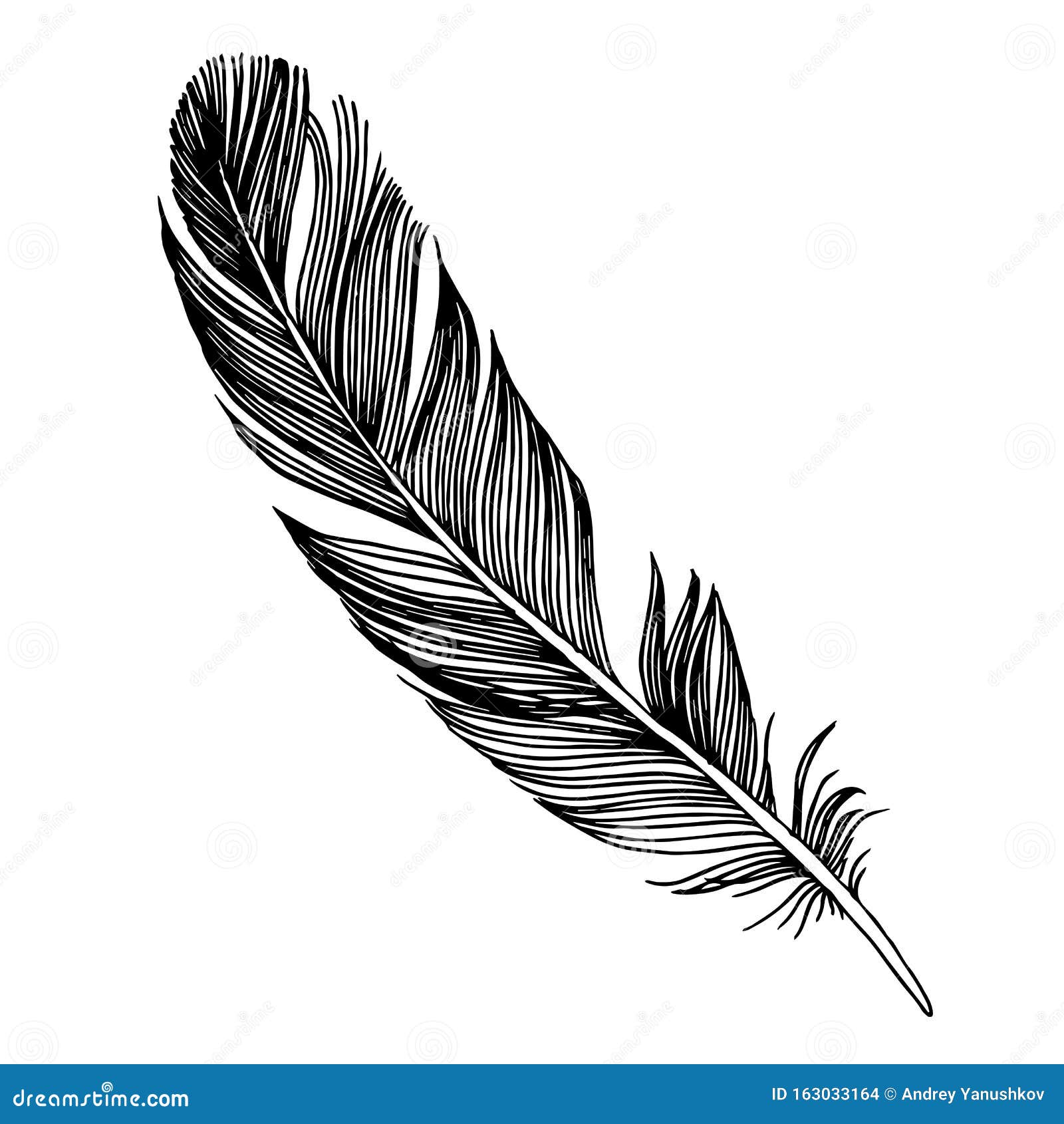 Sticker Black bird feather on white background 