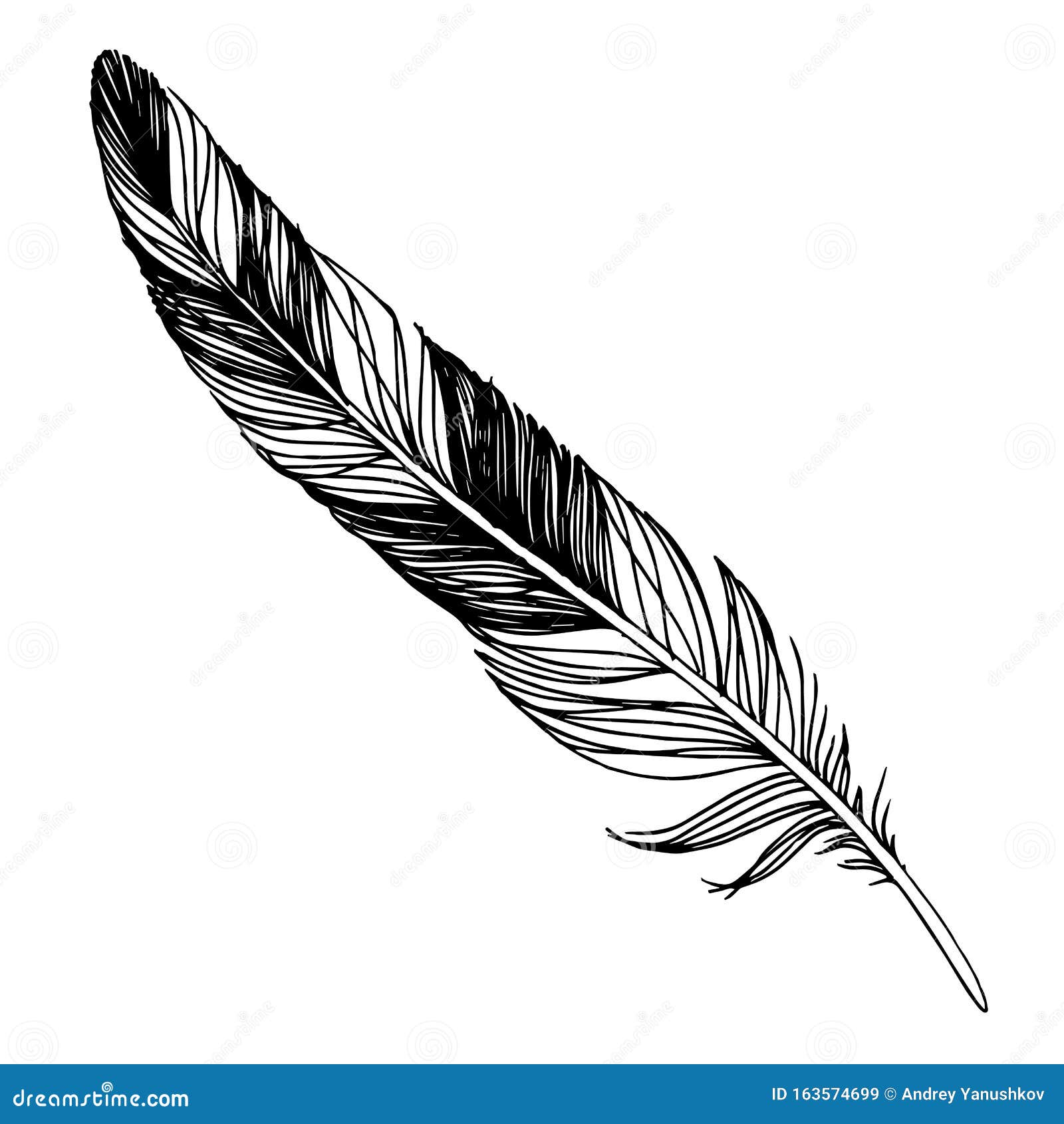 Black-and-white feather on black background Vector Image
