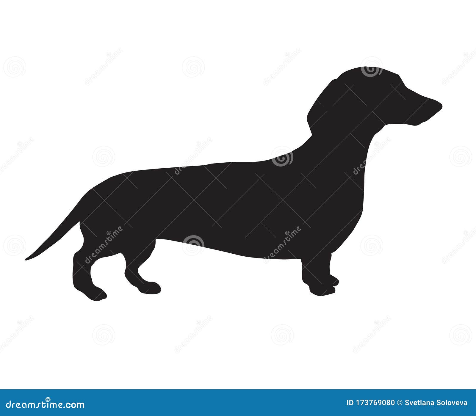 pic Teckel Dog Vector https www dreamstime com vector black dachshund dog silhouette vector black dachshund dog silhouette isolated white background image173769080