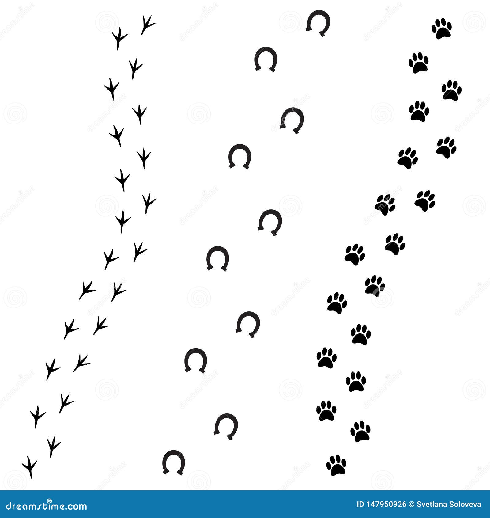  black foot prints of dog horse and bird