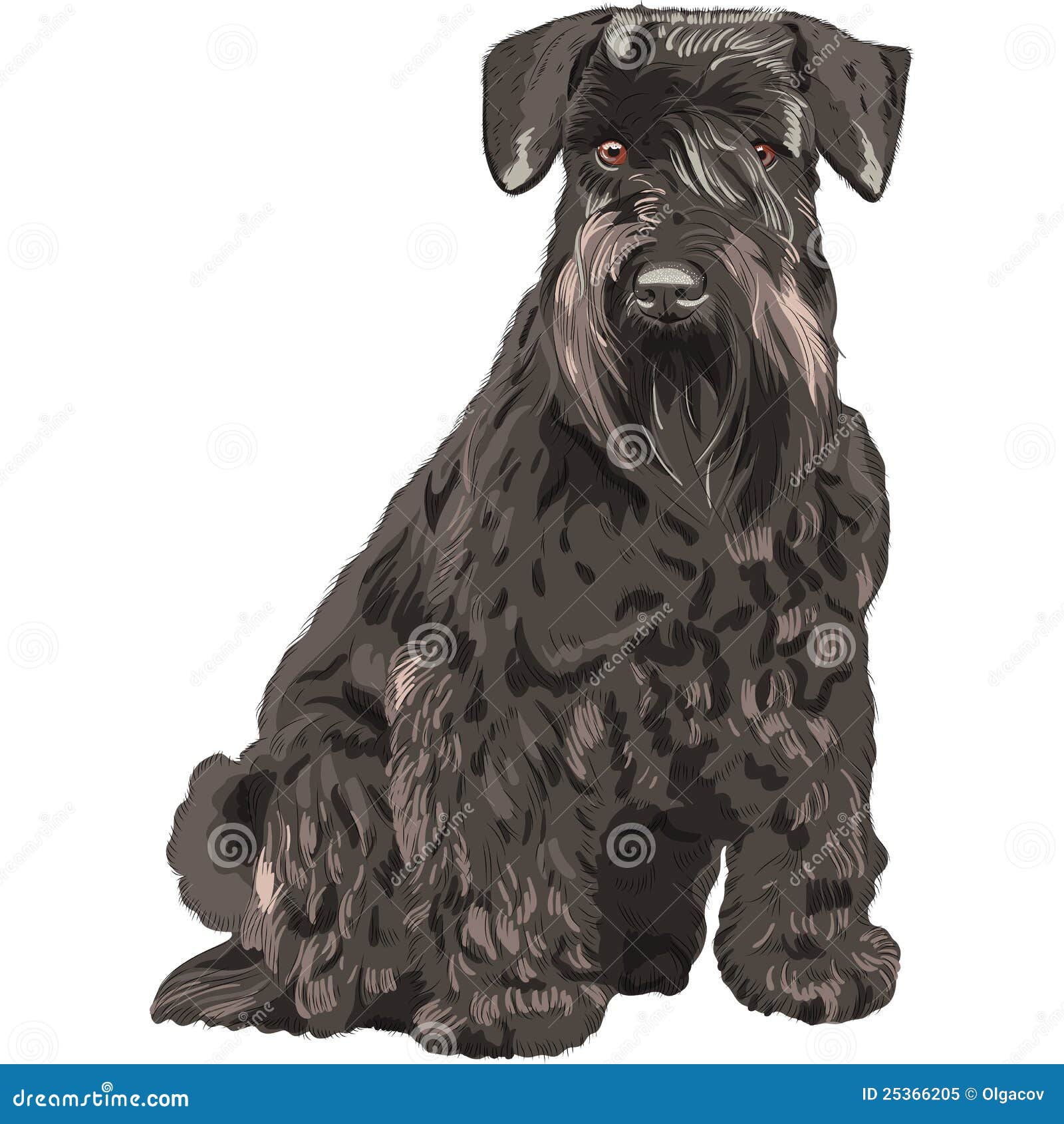  black miniature schnauzer dog sitting