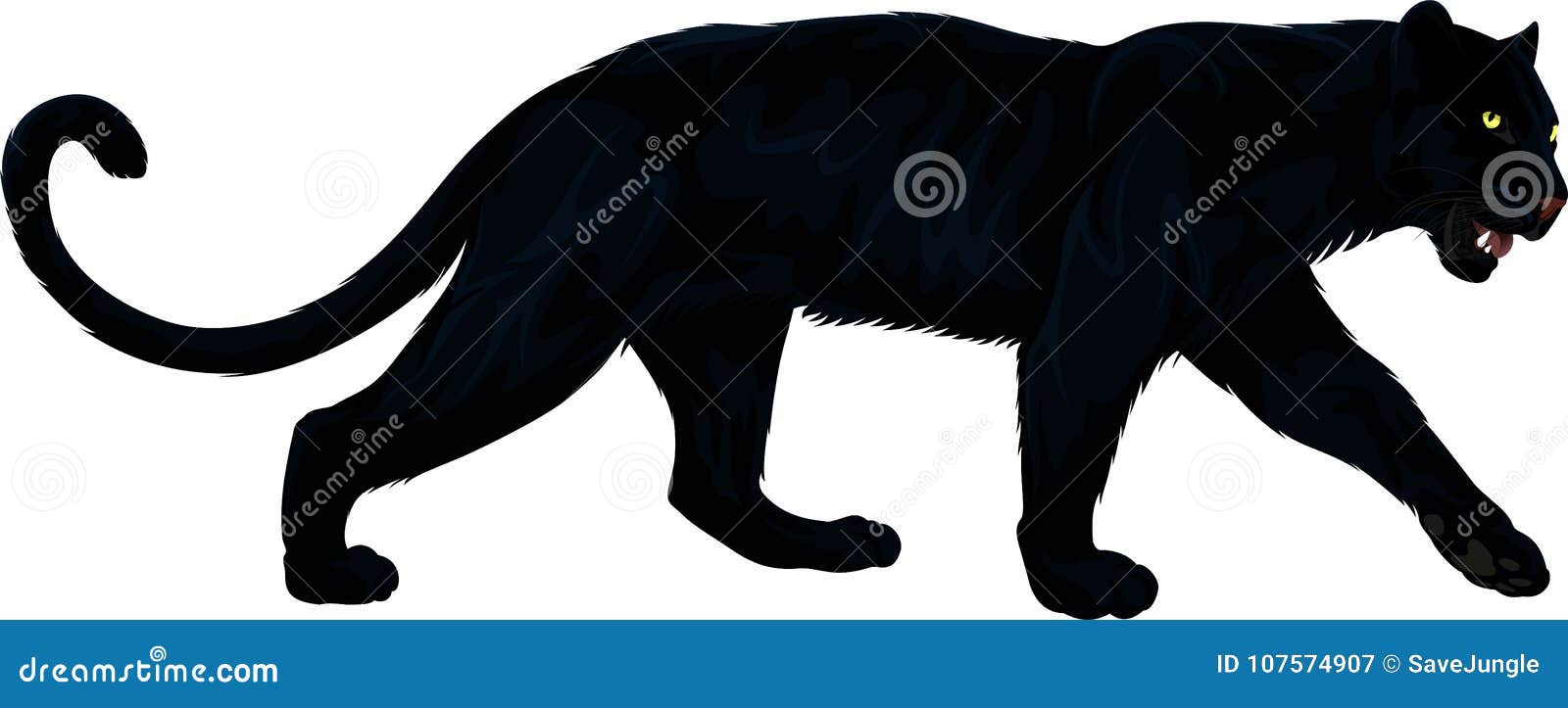  black panther  on white