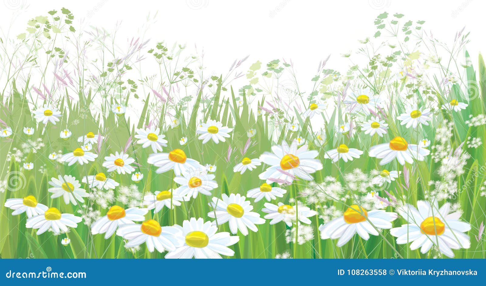  blossoming daisy flowers field.