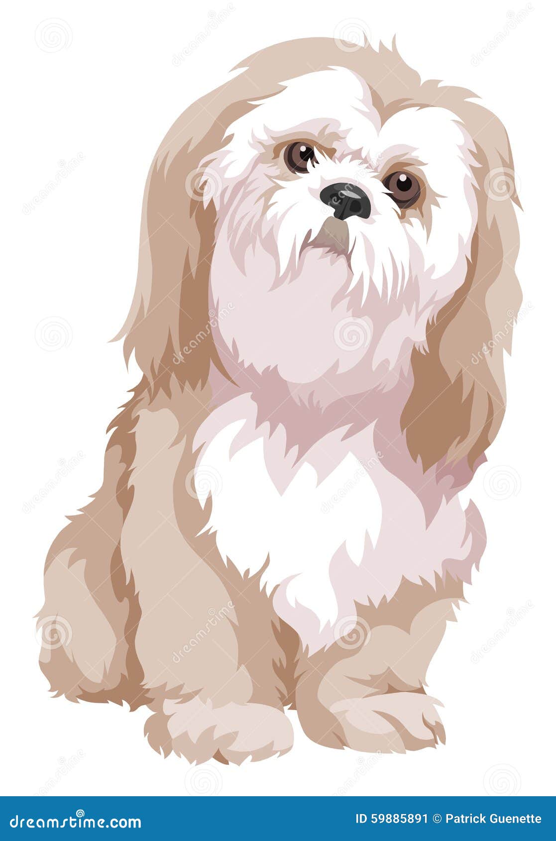 Vector of bolognese dog. stock vector. Illustration of representation