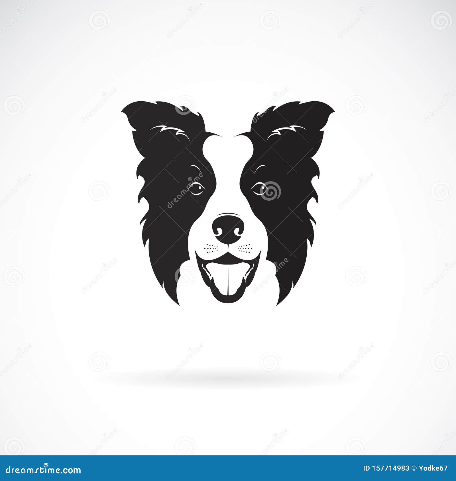 Download Vector Of A Border Collie Dog On White Background Pet Animal Dog Logo Or Icon Easy Editable Layered Vector Illustration Stock Vector Illustration Of Ears Hair 157714983