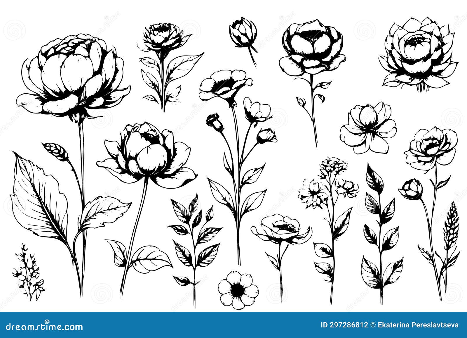  botanical collection of floral and herbal s.   plants, branches and