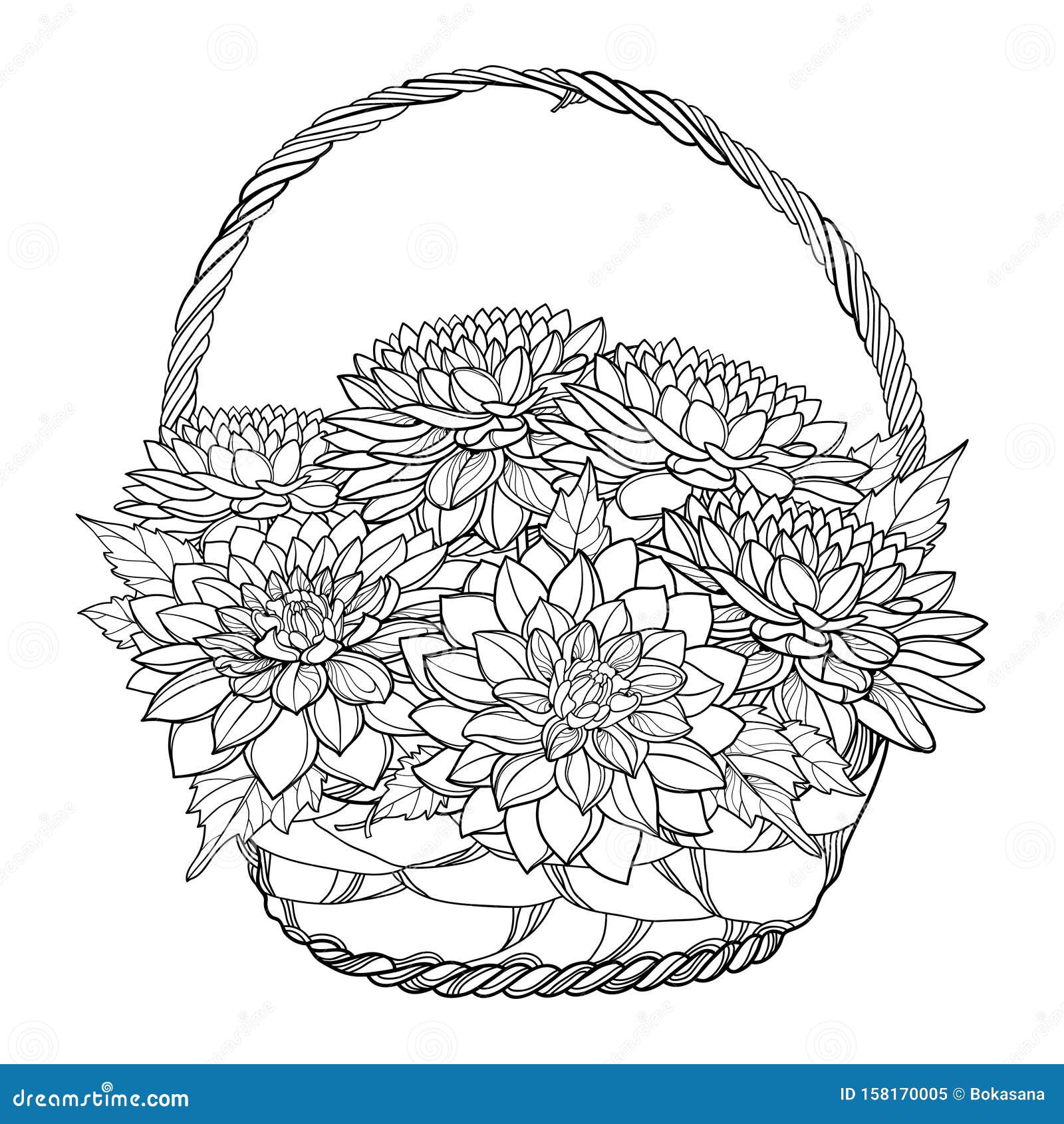  bouquet of dahlia or dalia flower and ornate leaf in wicker basket in black  on white background. bunch of dahlia.