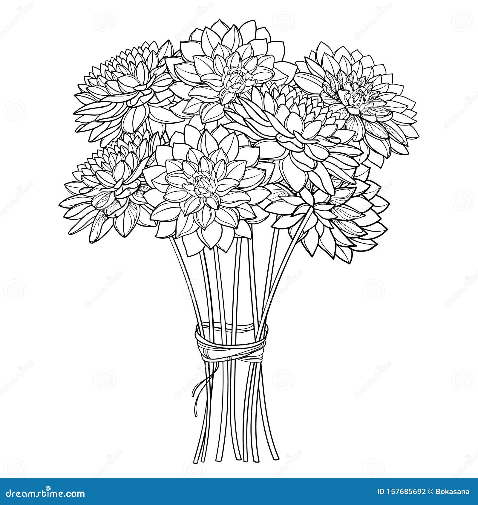 Vector Bouquet Of Outline Dahlia Or Dalia Flower In Black Isolated On