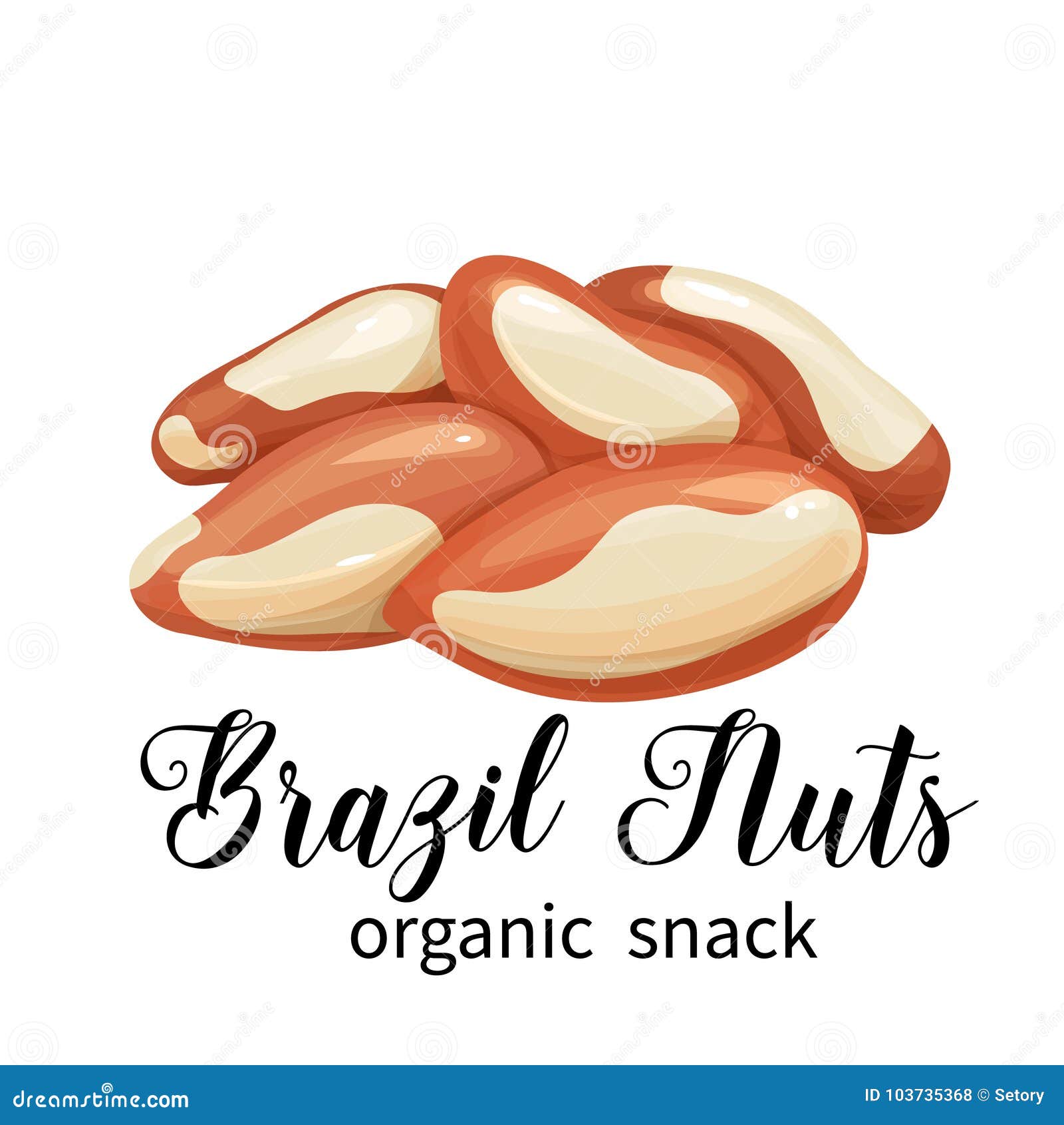 Vector brazil nuts stock vector. Illustration of element 103735368