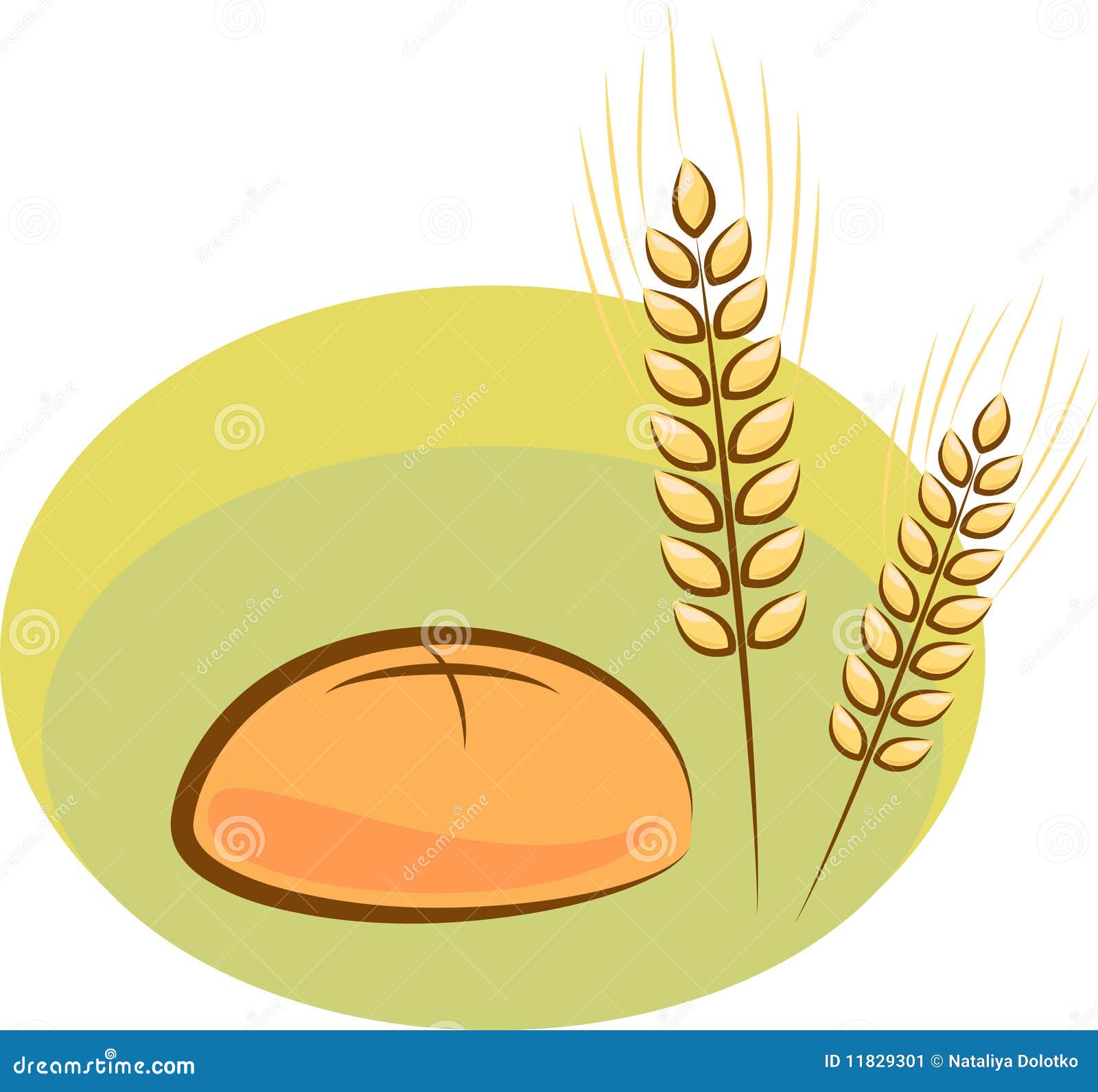 Vector bread stock vector. Illustration of object, geometry - 11829301