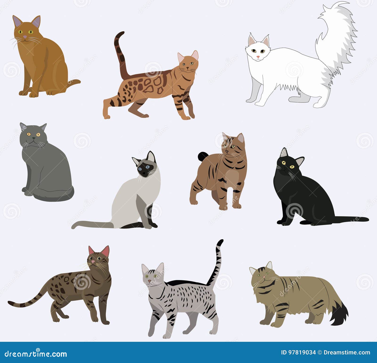  breed cats icons set.