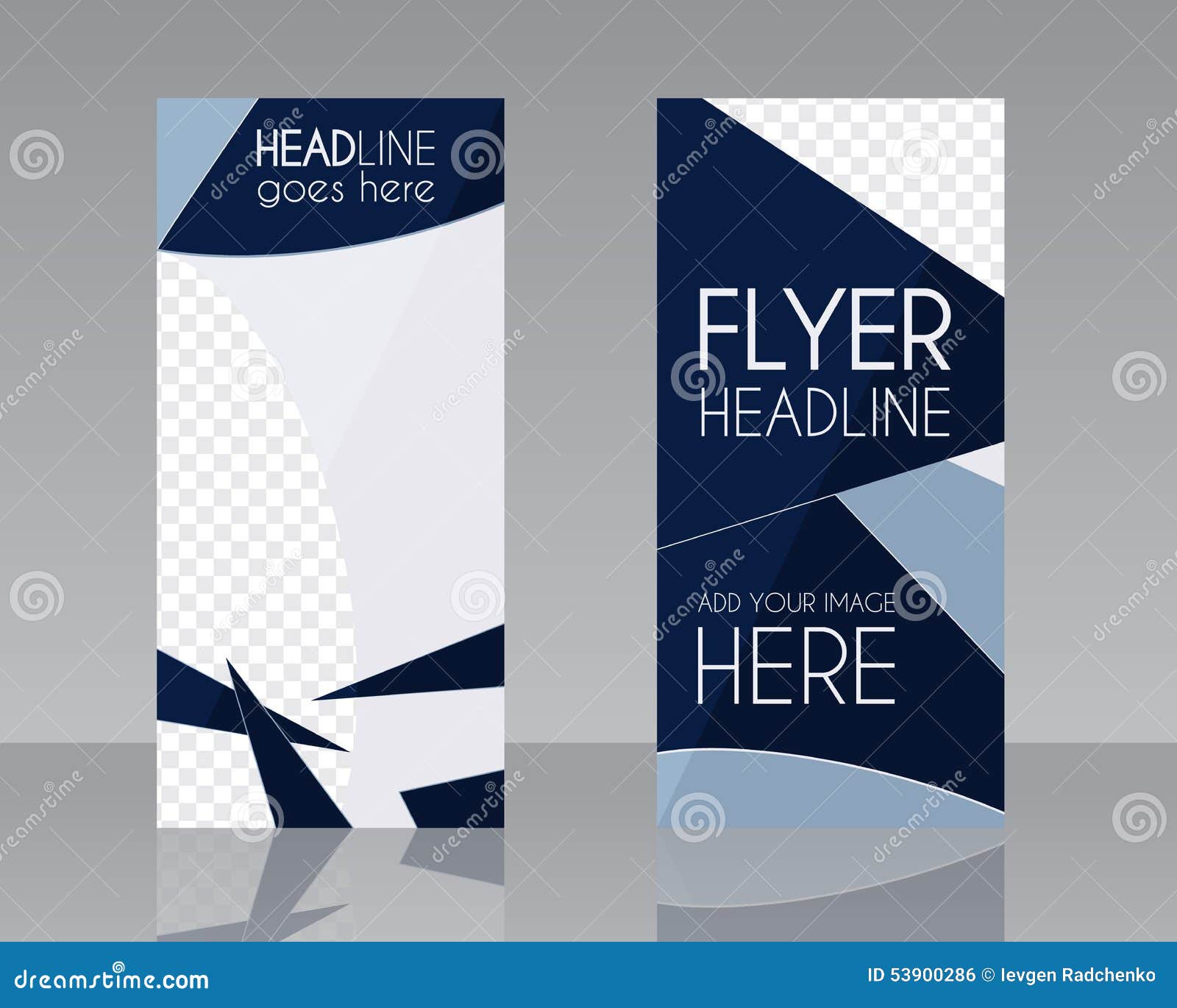 Vector Brochure Flyer Design Layout Template Blue Stock