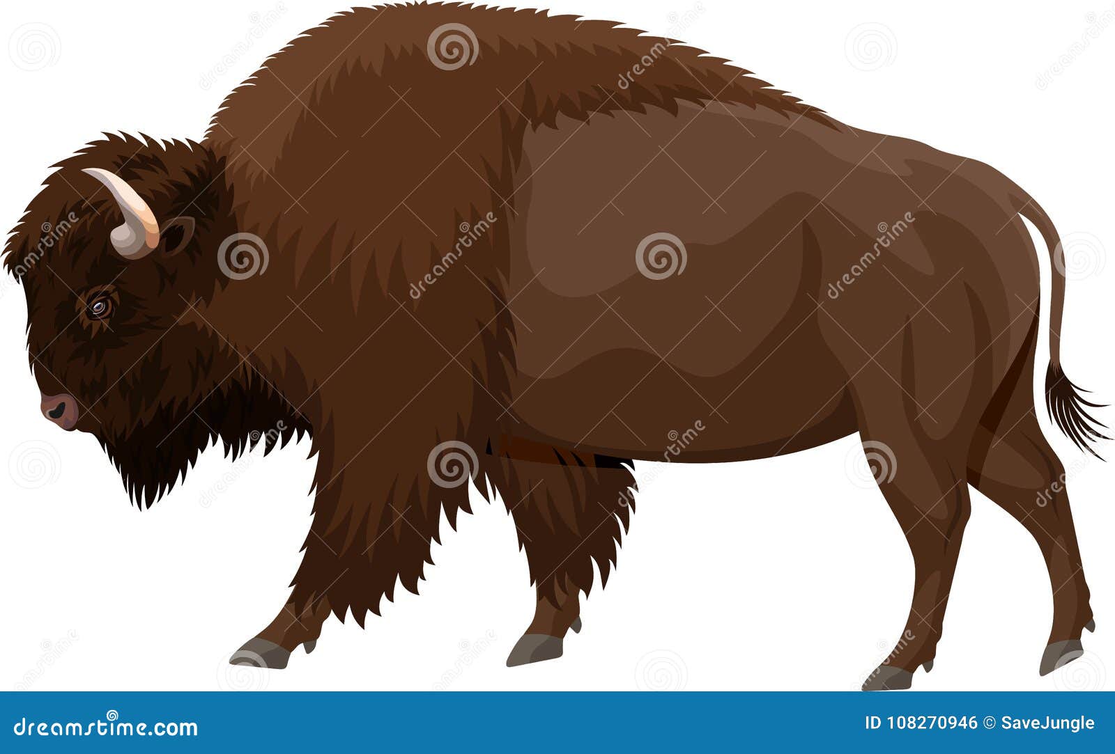  brown zubr buffalo bison
