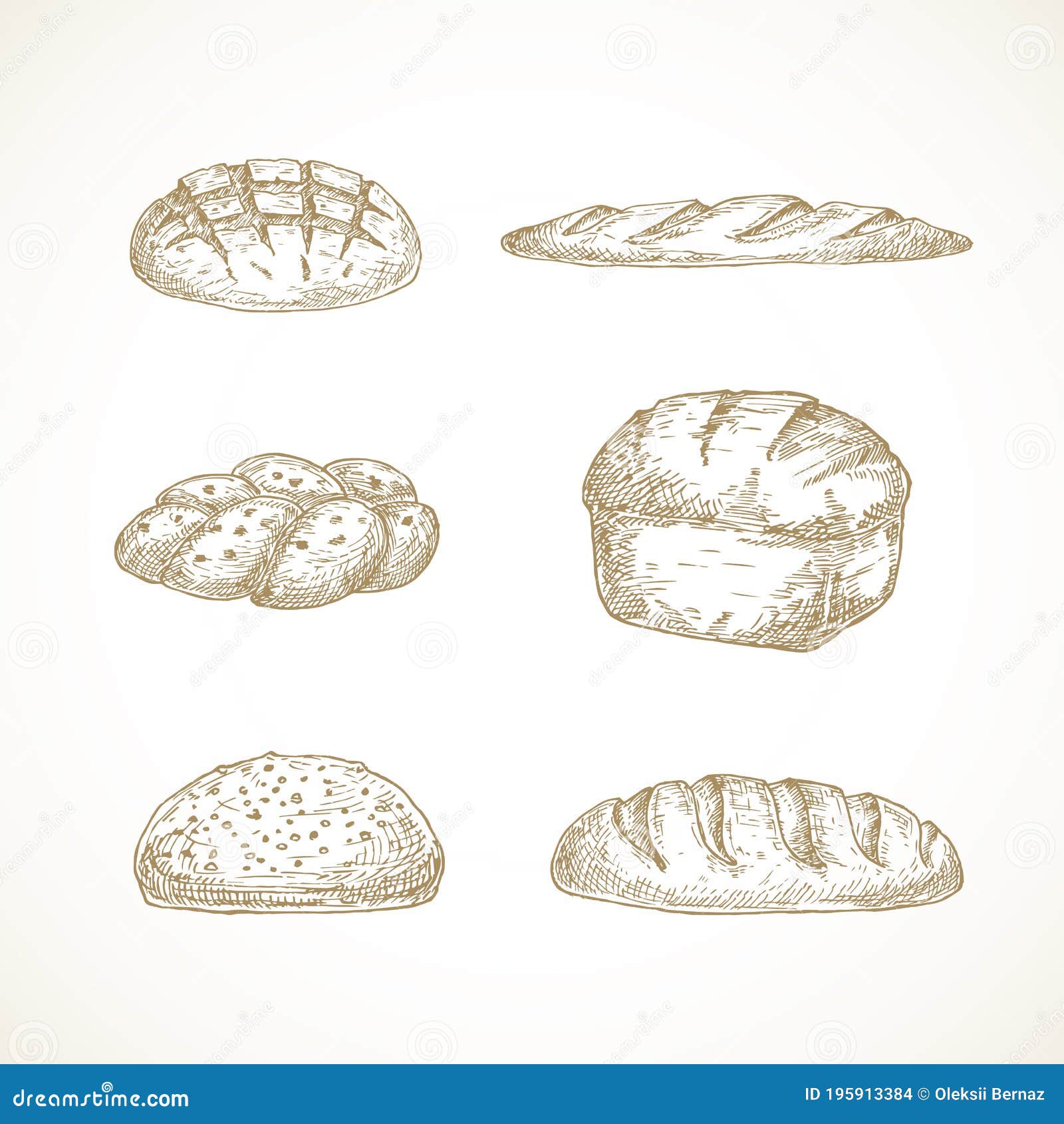  brread sketches set. hand drawn s of challa, sourdough loaf, brick and baguette.