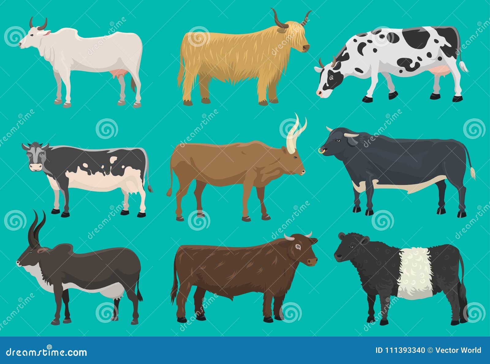  bulls and cows farm animal cattle mammal nature beef agriculture and domestic rural bovine horned cartoon buffalo