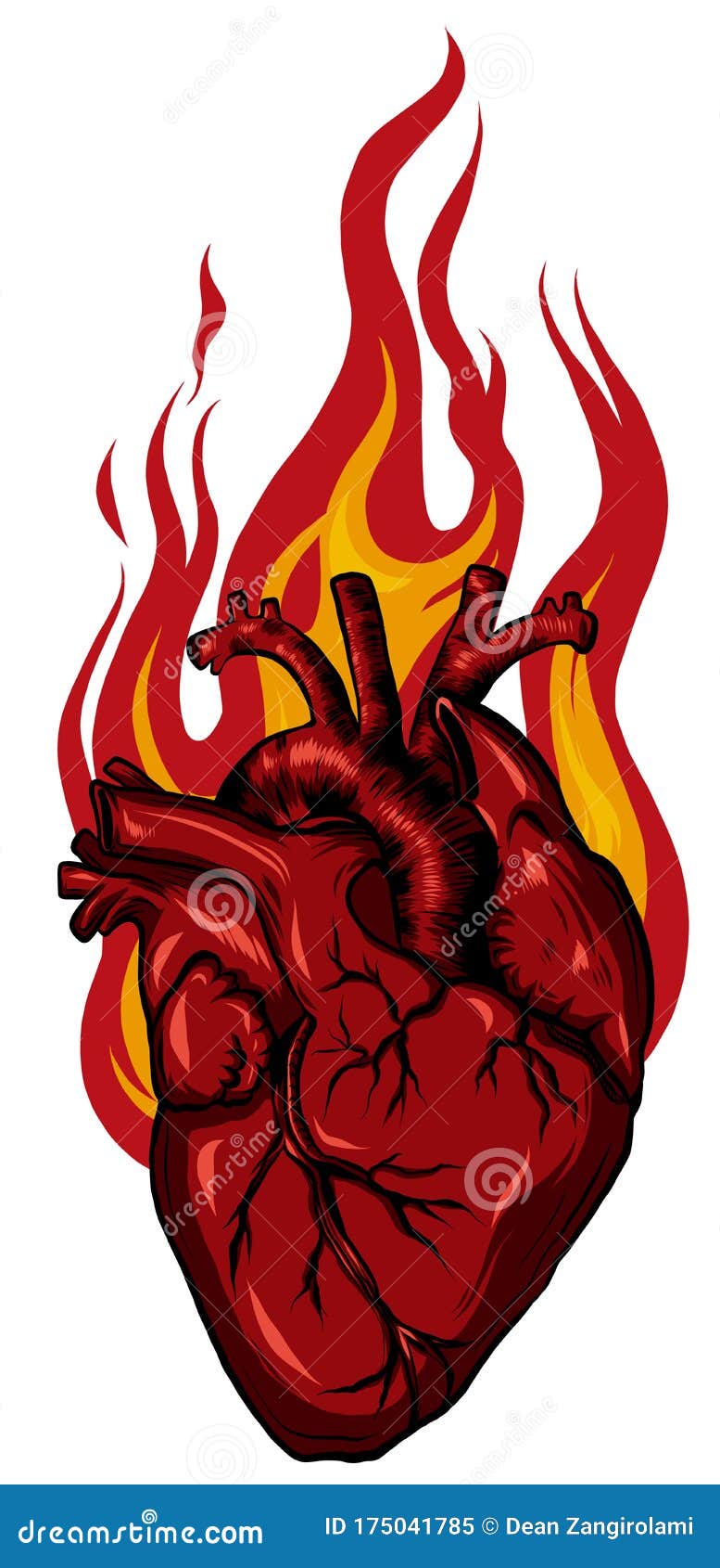 Vector Burning Heart. Illustration for Design Tattoo Stock Vector -  Illustration of fire, isolated: 175041785
