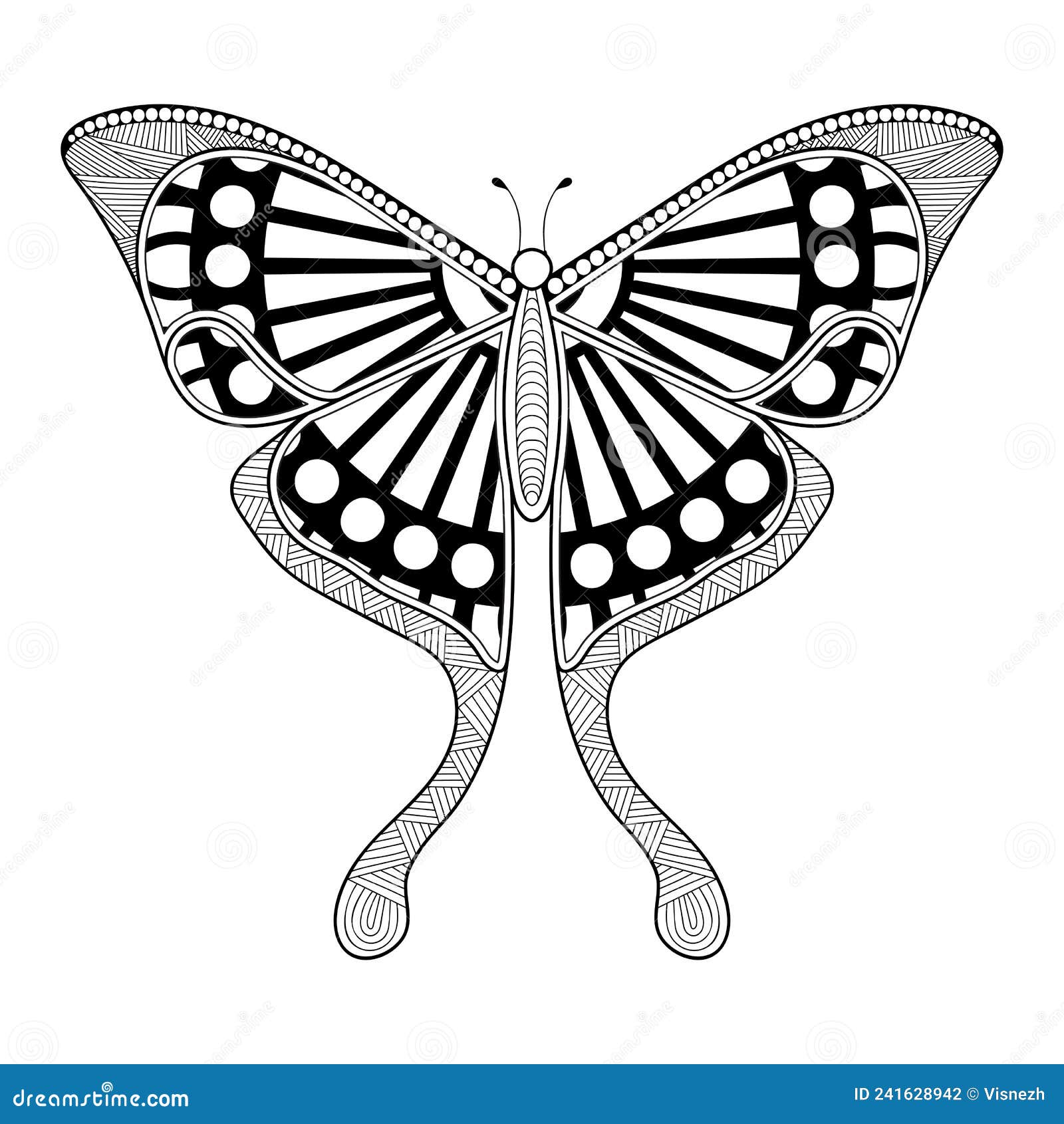 Vector Butterfly Black and White Element Line Art Print Design Stock