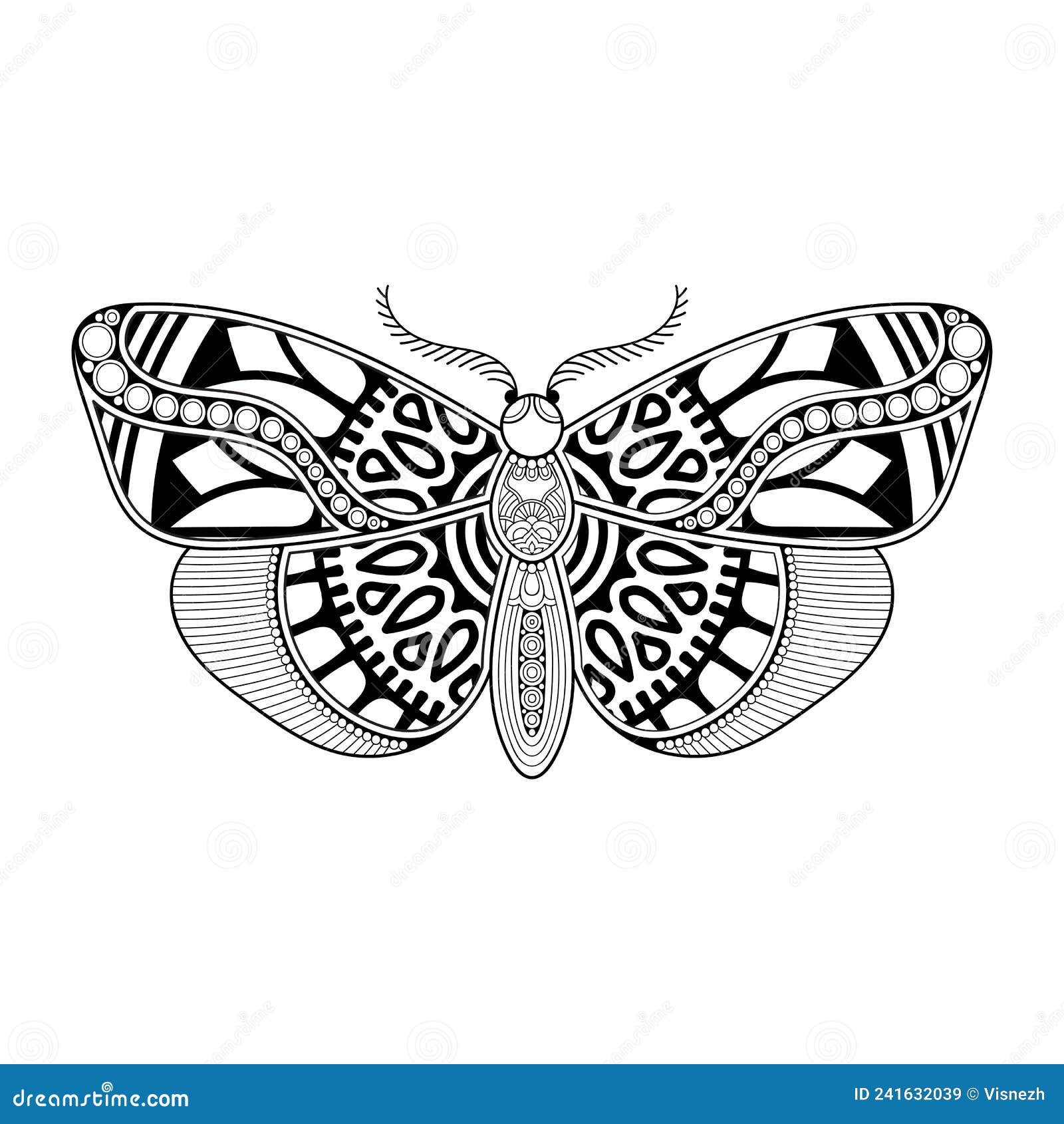 Vector Butterfly Black and White Element Line Art Print Design Stock