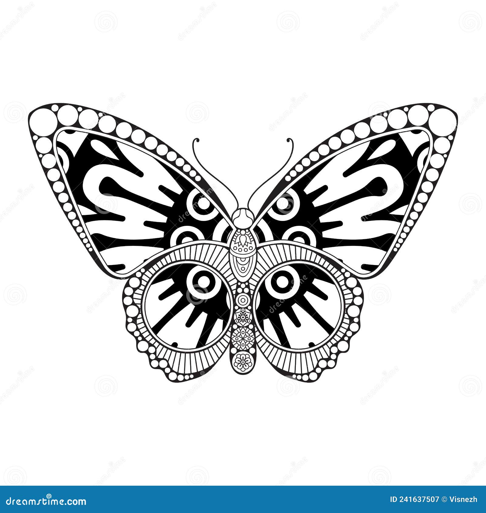 Vector Butterfly Black and White Element Line Art Print Design Stock