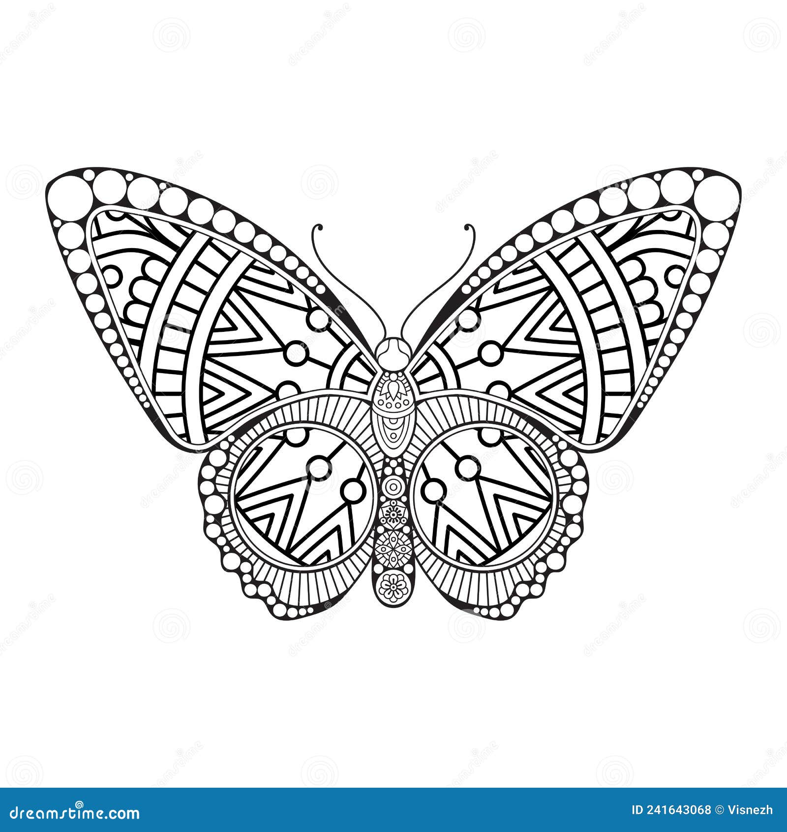 Vector Butterfly Black and White Element Line Art Print Design Stock